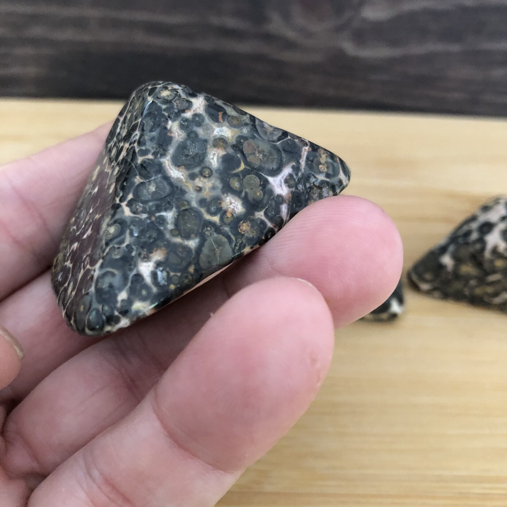 leopard jasper