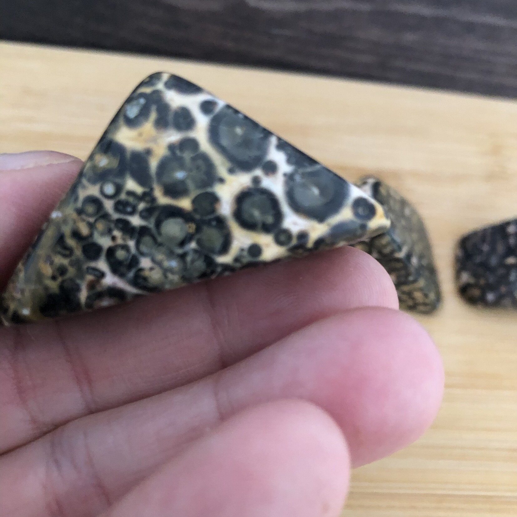 leopard jasper