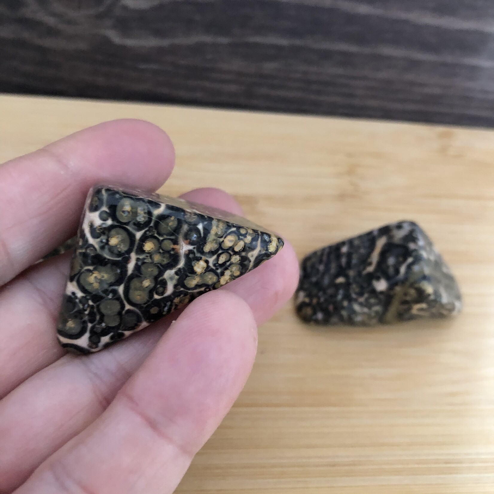 leopard jasper