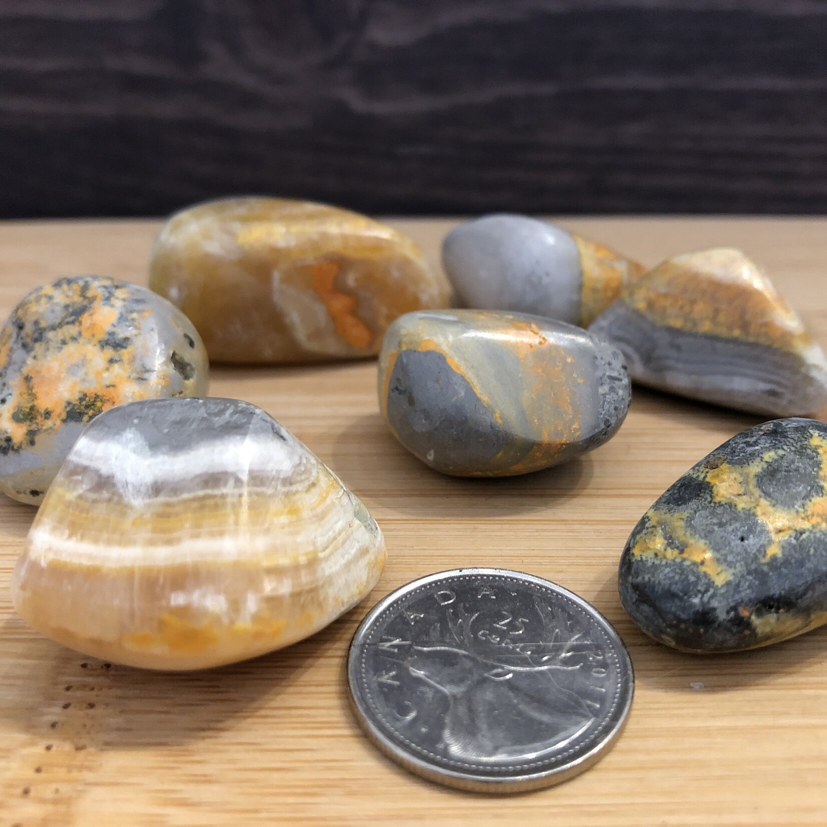bumblebee jasper tumbled stone