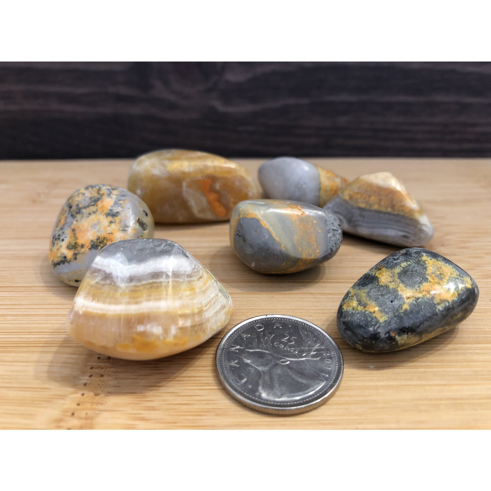 bumblebee jasper tumbled stone