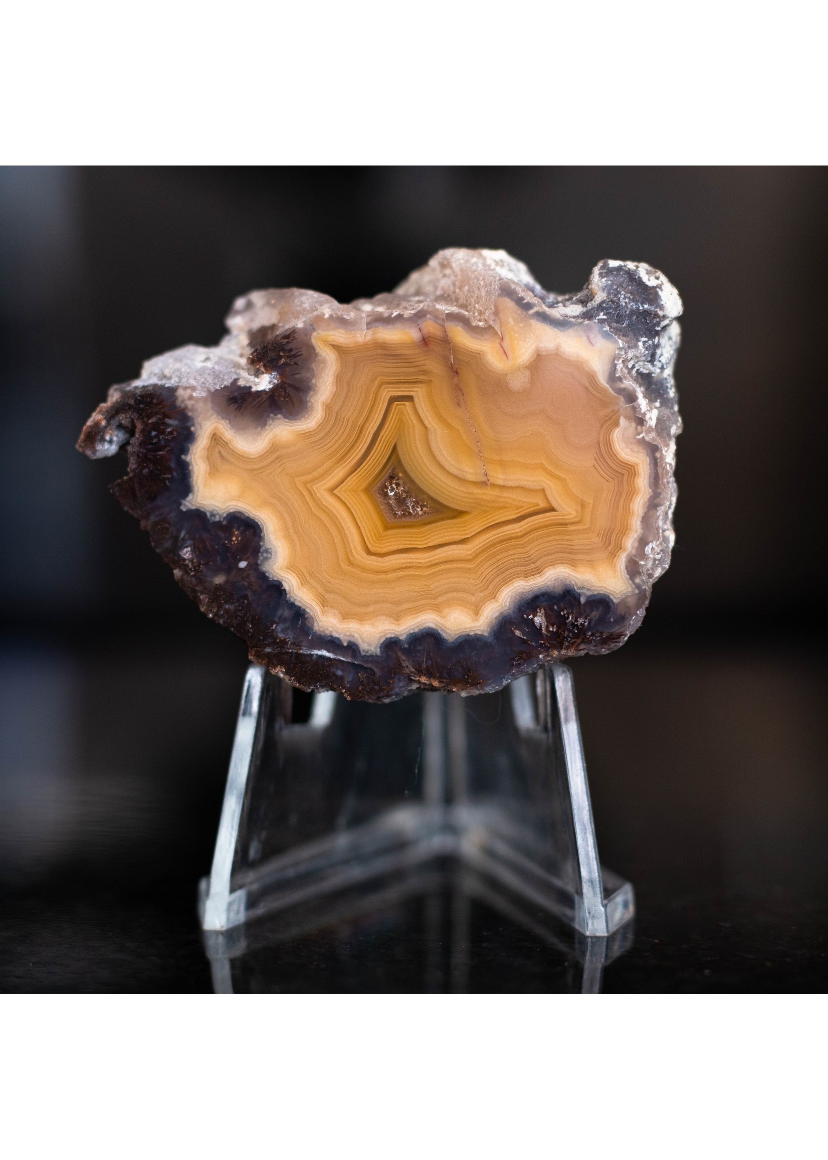 magnificent natural crazy lace agate, piece polished and rough, yellow mustard tones with druzy quartz