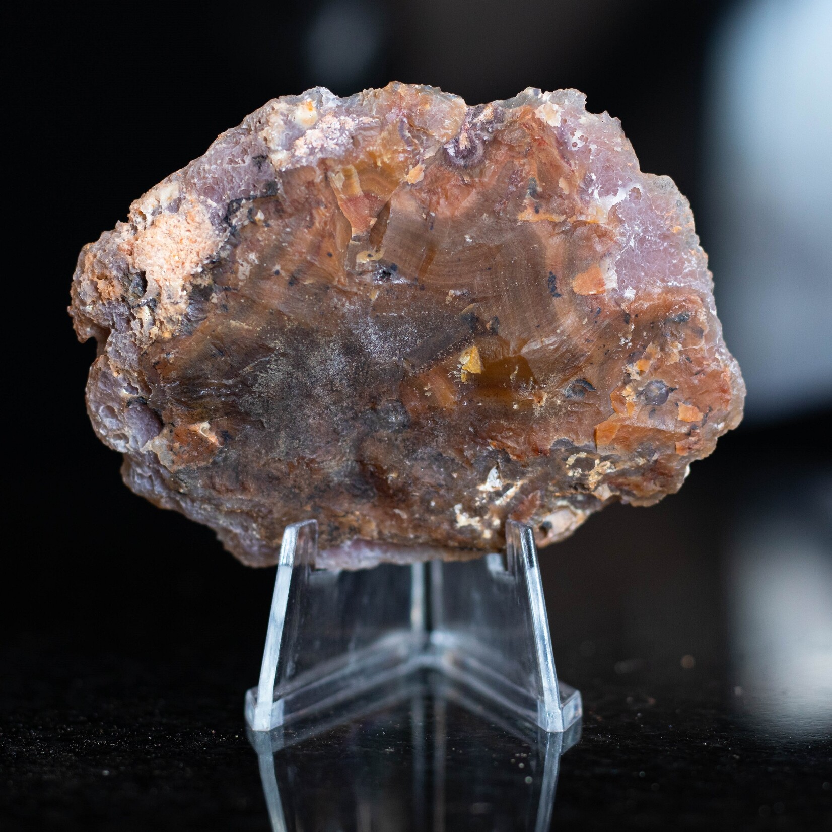 mexican agate polished and rough, gorgeous banding with yellow mustard, by a red-brown color, with quartz
