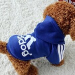 adidog sweater integrated pocket -blue-FINAL SALE