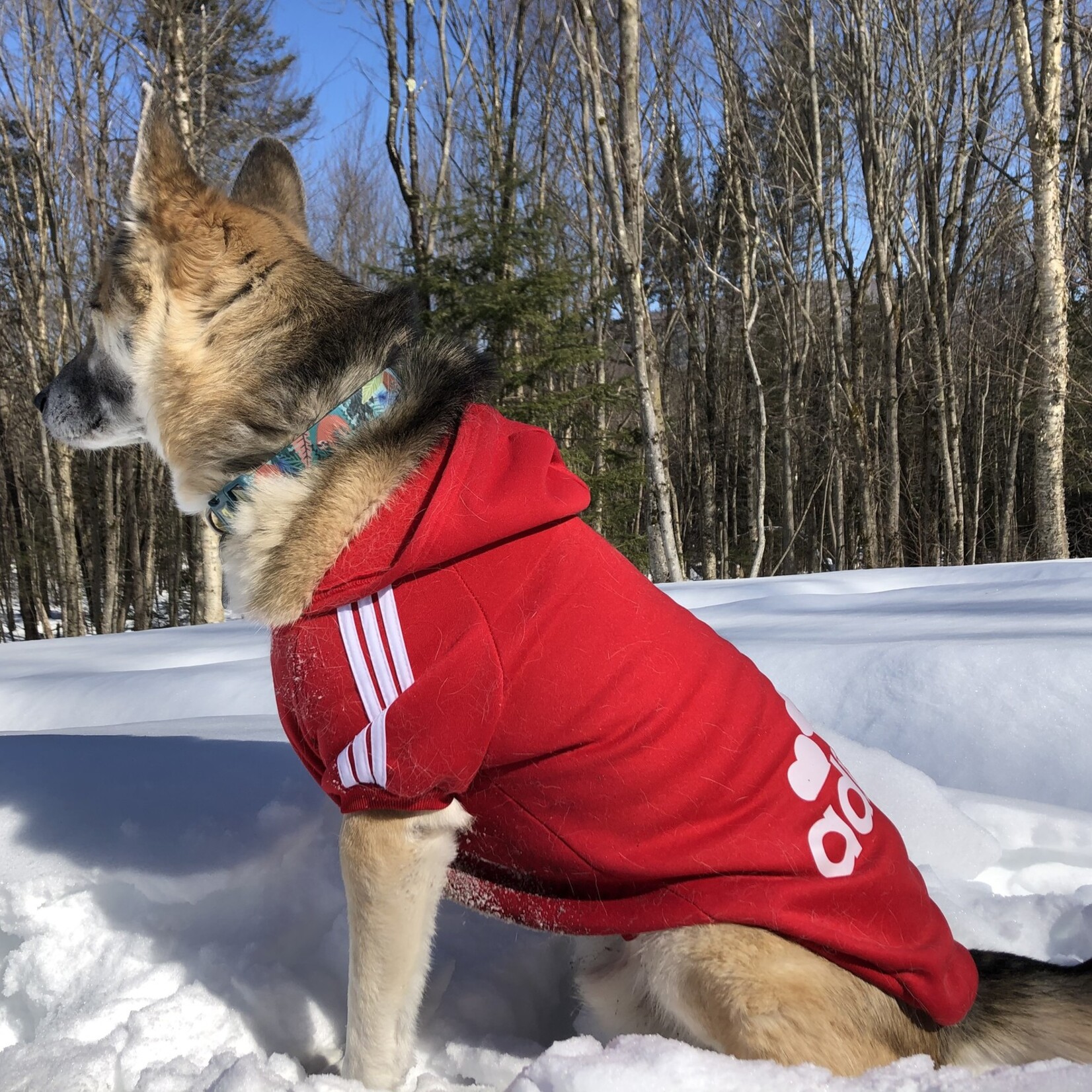 chandail adidog pochette intégrée-rouge-VENTE FINALE