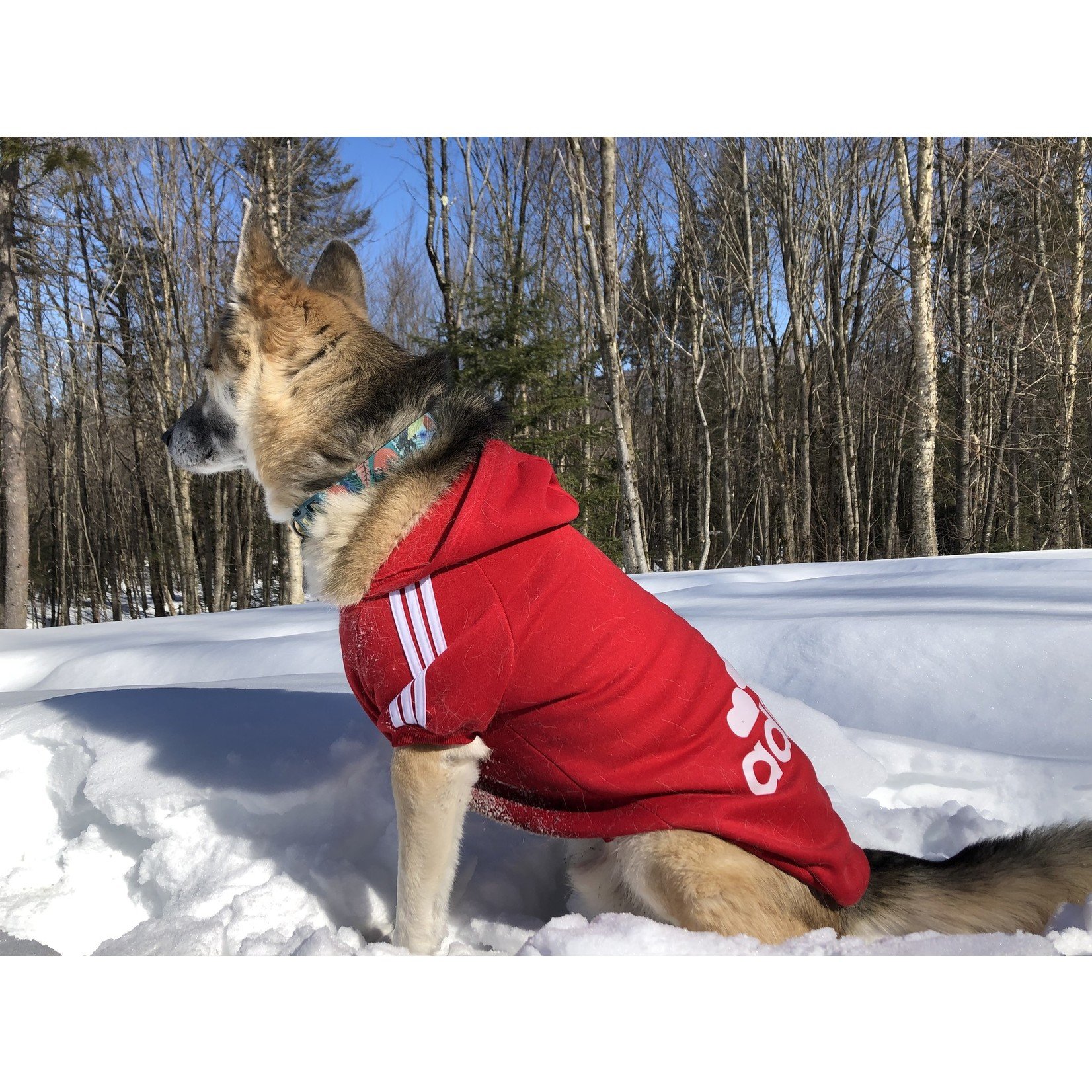 adidog sweater integrated pocket-red-FINAL SALE