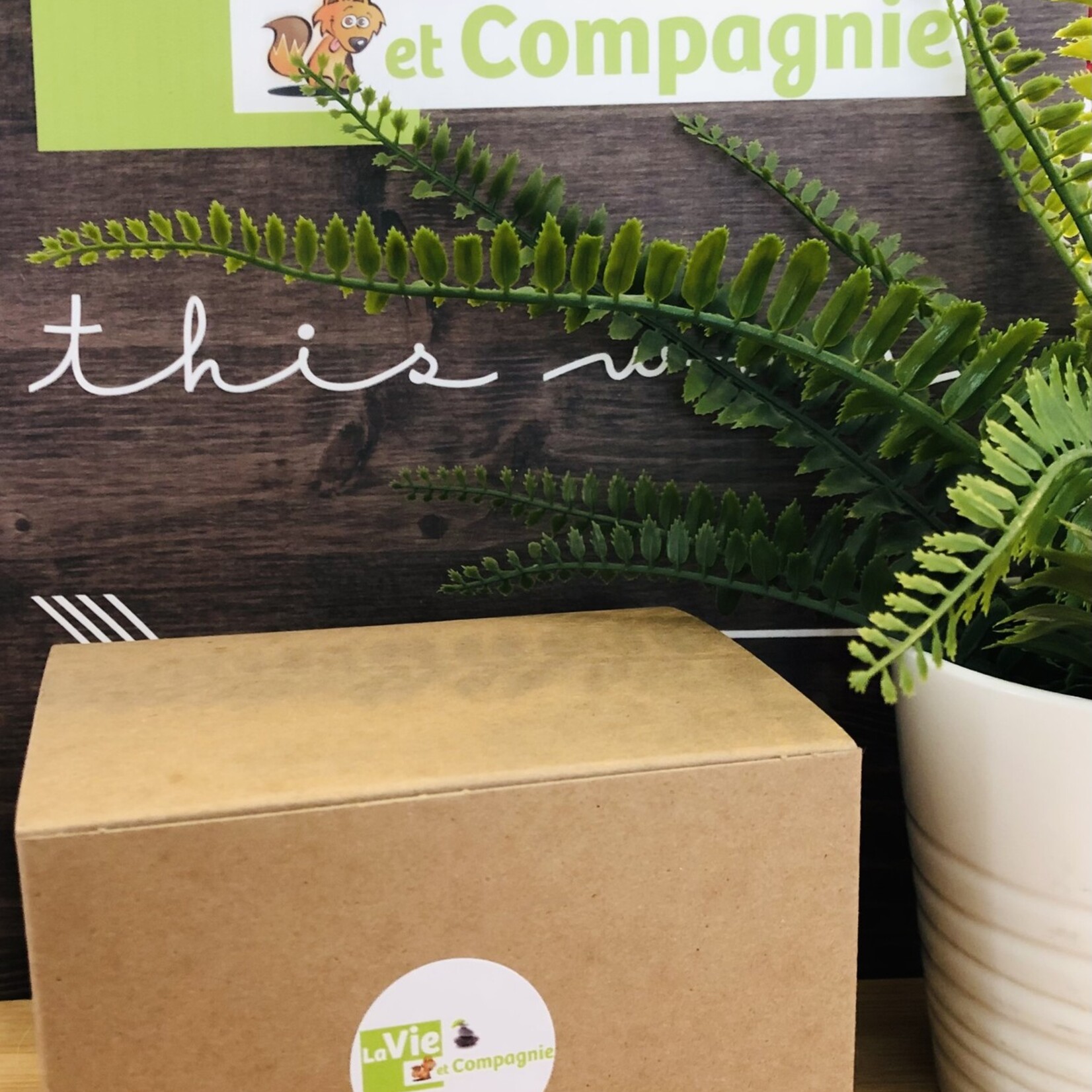 boîte mystère pierres et cristaux de qualité pour votre chien, l'outil quotidien parfait pour votre animal de compagnie