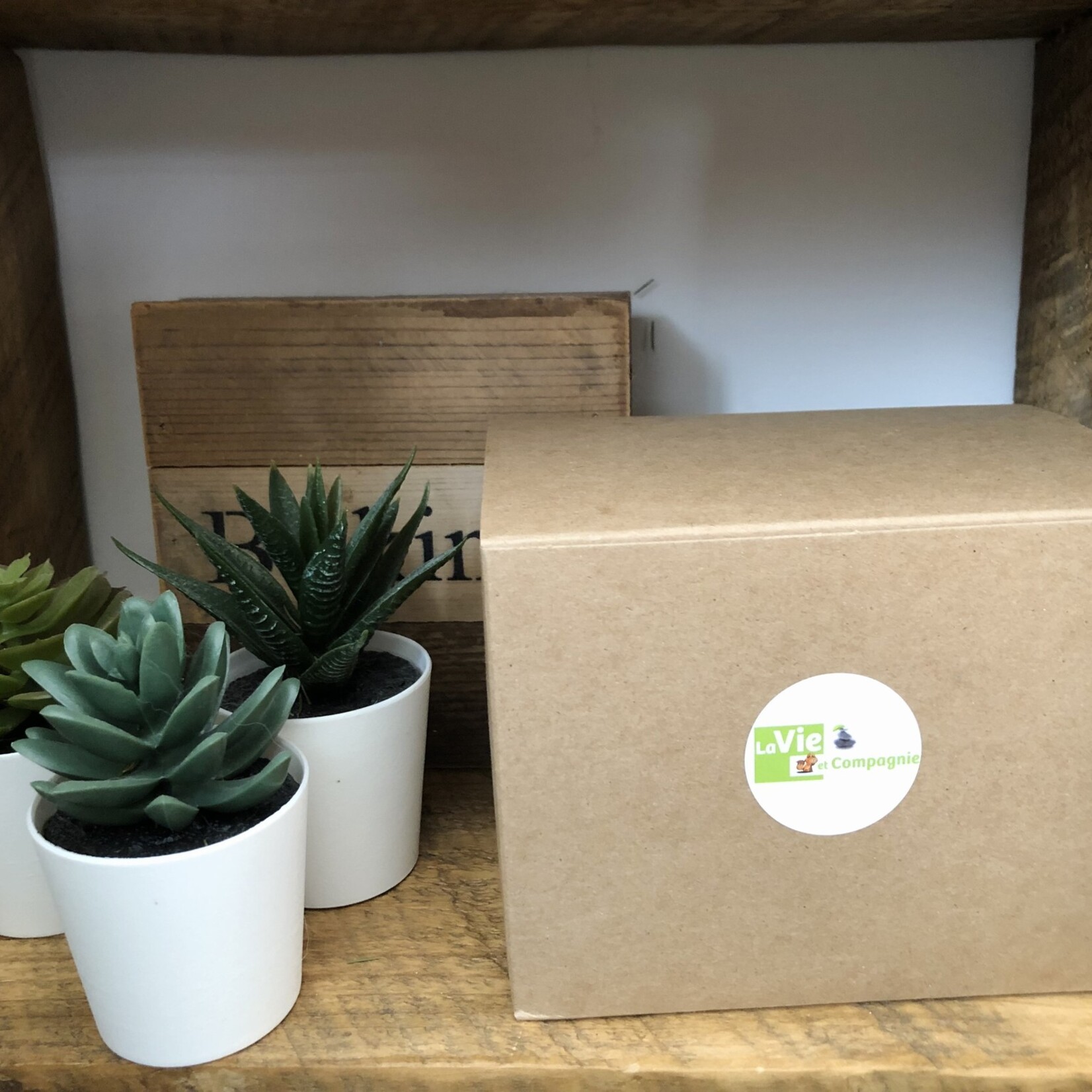 mystery box set quality stones for dogs , surprise box with quality stones and crystals, the perfect daily tool for your pet