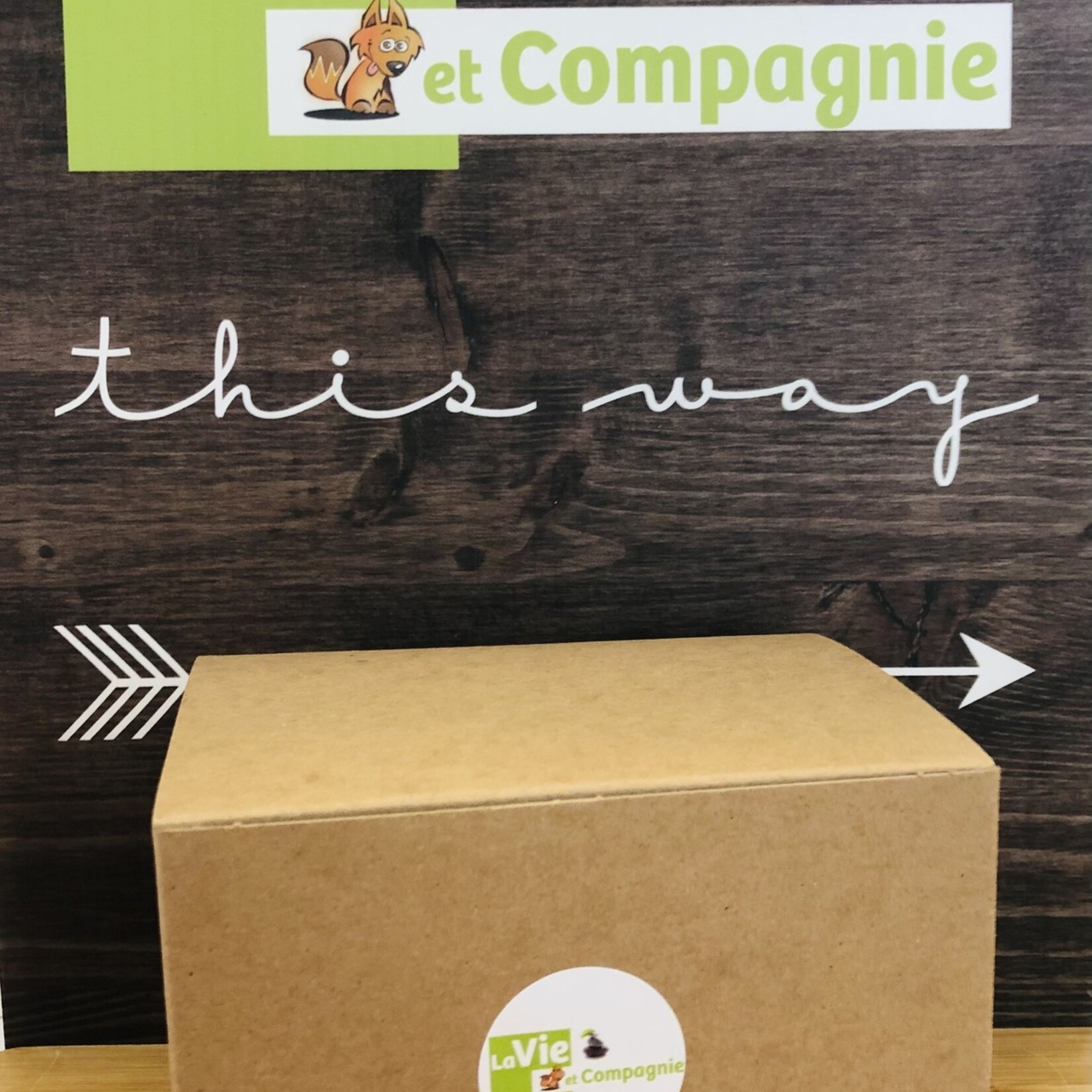 boîte mystère pierres et cristaux de qualité pour votre chien, l'outil quotidien parfait pour votre animal de compagnie