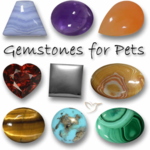 mystery box set quality stones for dogs