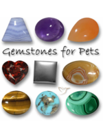 boîte mystère pierres et cristaux de qualité pour votre chien