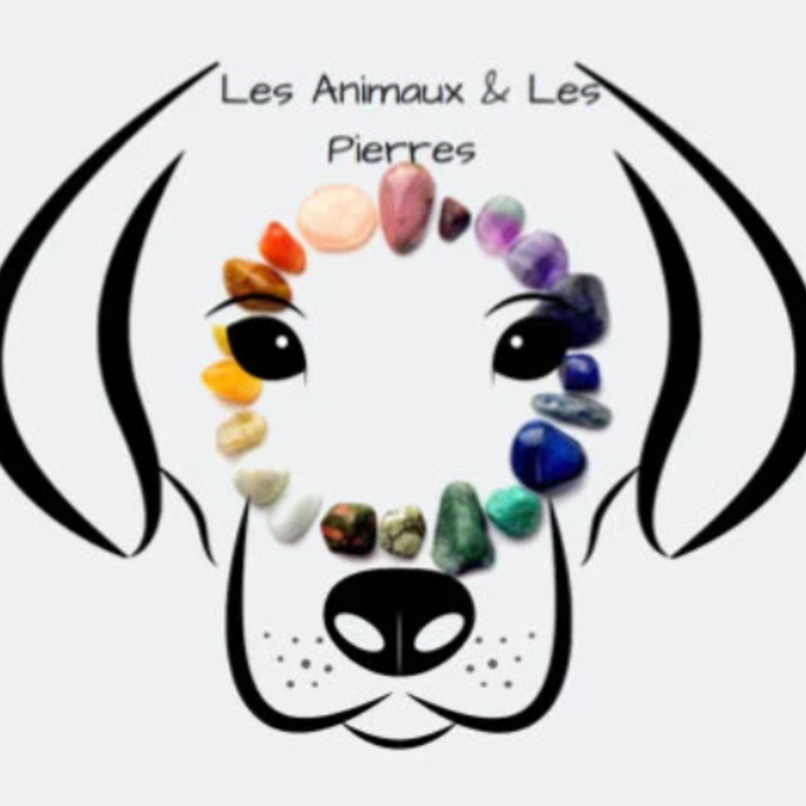 mystery box set quality stones for dogs , surprise box with quality stones and crystals, the perfect daily tool for your pet