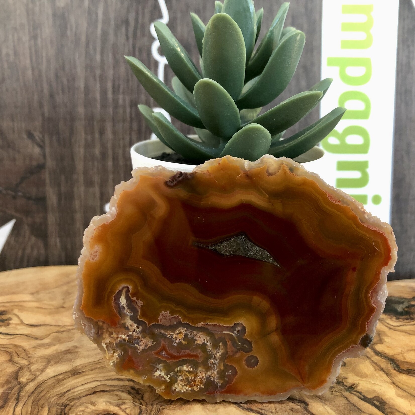 mexican agate polished and rough, gorgeous banding with yellow mustard, by a red-brown color, with quartz