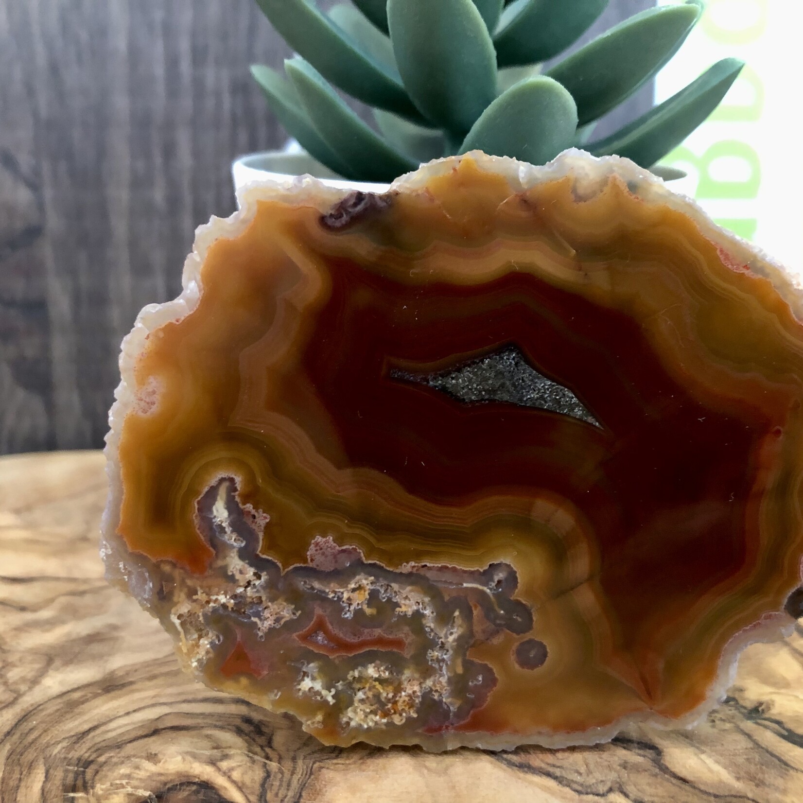 mexican agate polished and rough, gorgeous banding with yellow mustard, by a red-brown color, with quartz