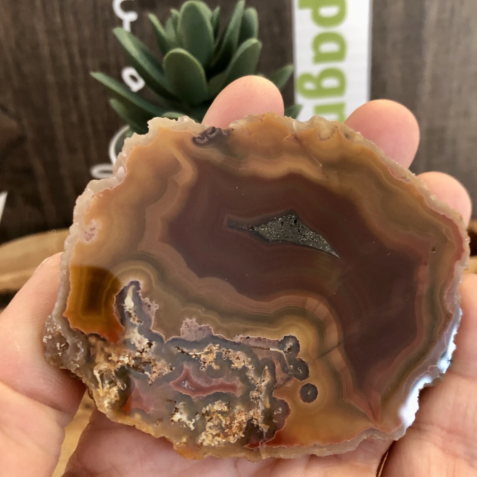 mexican agate polished and rough, gorgeous banding with yellow mustard, by a red-brown color, with quartz