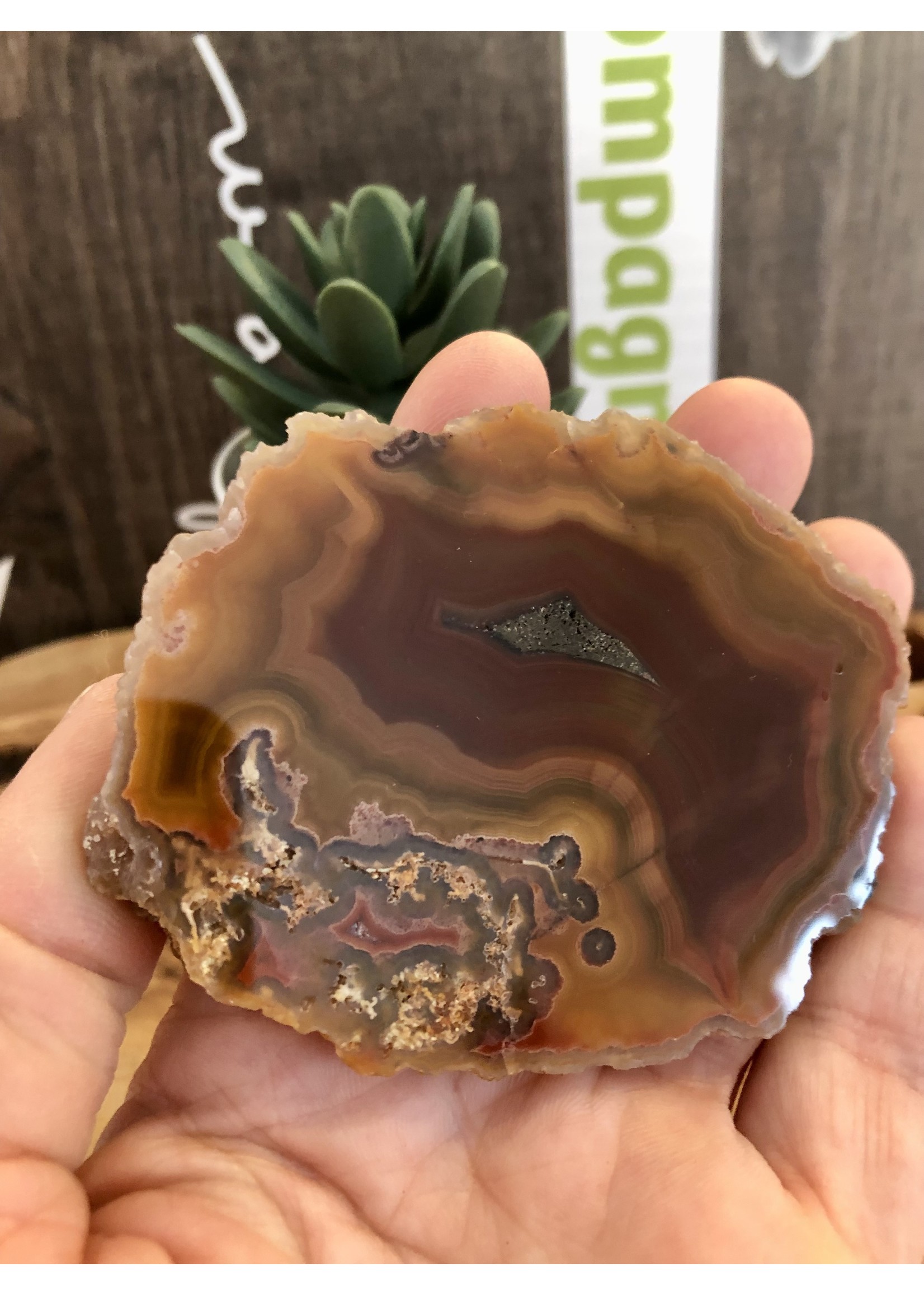 mexican agate polished and rough, gorgeous banding with yellow mustard, by a red-brown color, with quartz