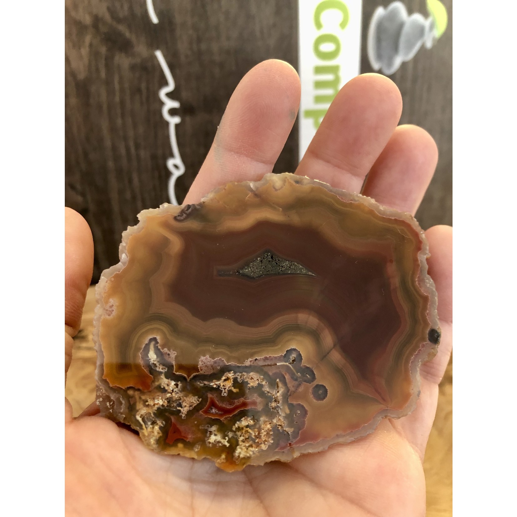 mexican agate polished and rough, gorgeous banding with yellow mustard, by a red-brown color, with quartz