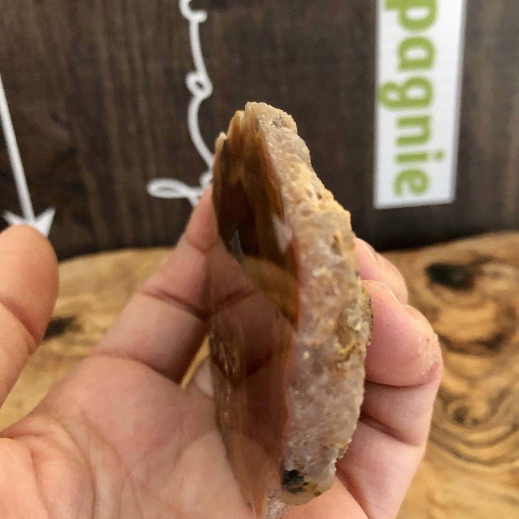 mexican agate polished and rough, gorgeous banding with yellow mustard, by a red-brown color, with quartz