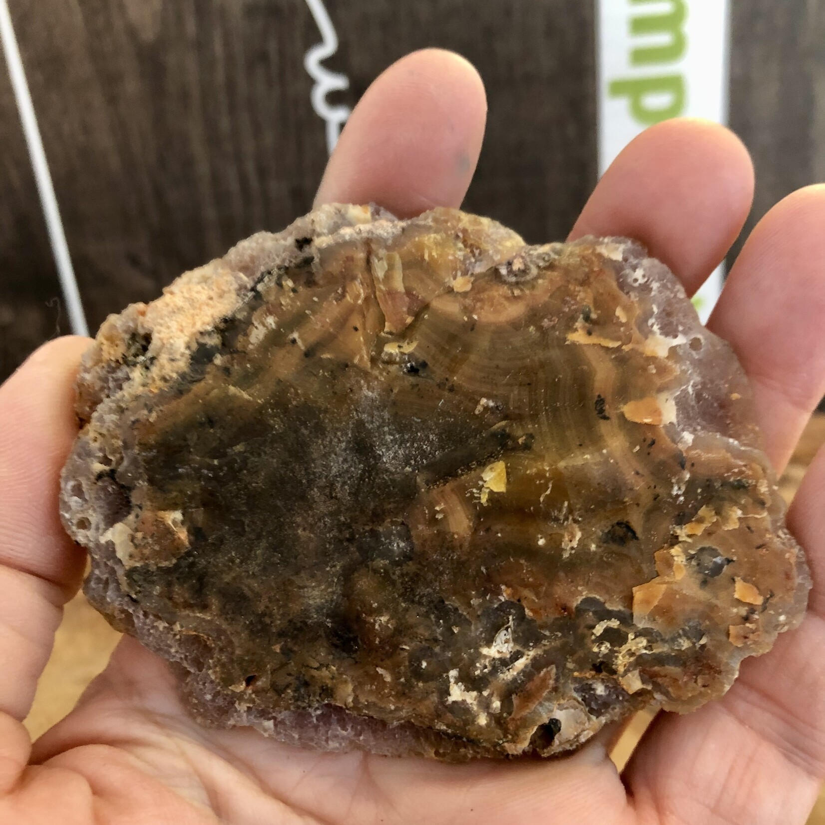 mexican agate polished and rough, gorgeous banding with yellow mustard, by a red-brown color, with quartz