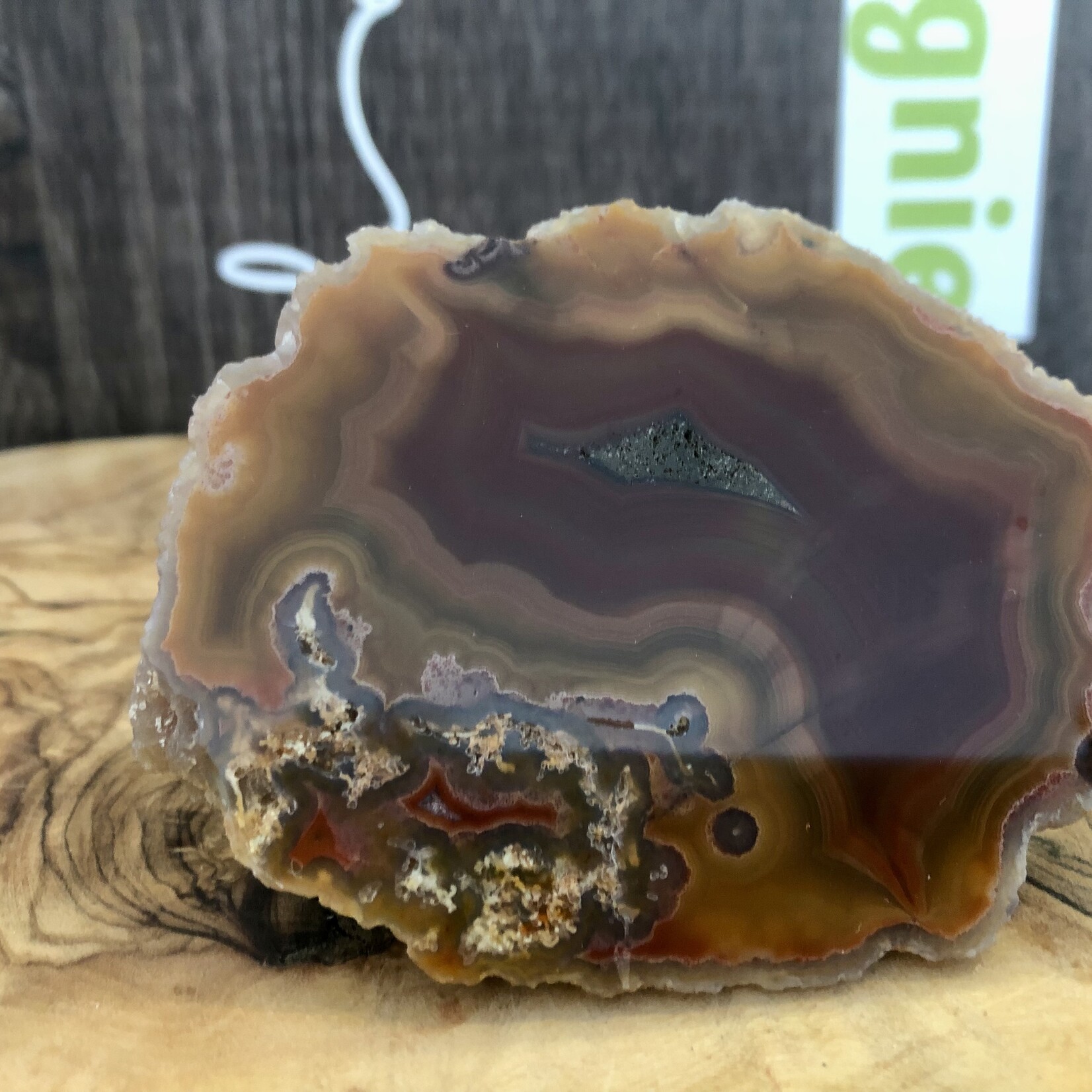 mexican agate polished and rough, gorgeous banding with yellow mustard, by a red-brown color, with quartz