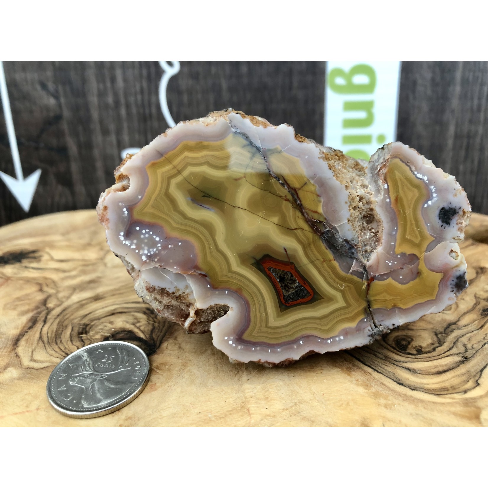 mexican agate crazy lace polished and rough, color contrast between yellow-orange tones and beige