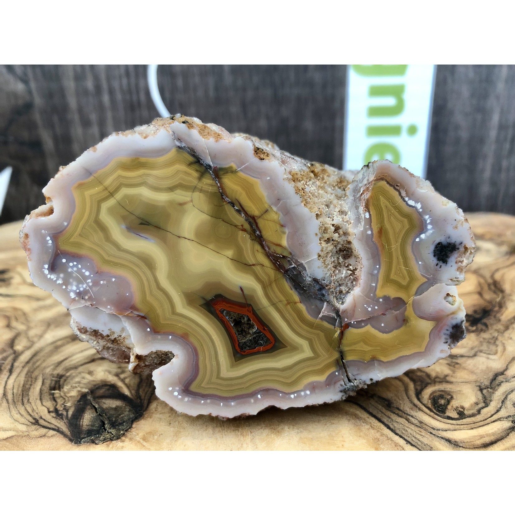 Agate Crazy Lace Mexicaine – Pierre Naturelle Unique d'Arcoiris pour Équilibre et Harmonie