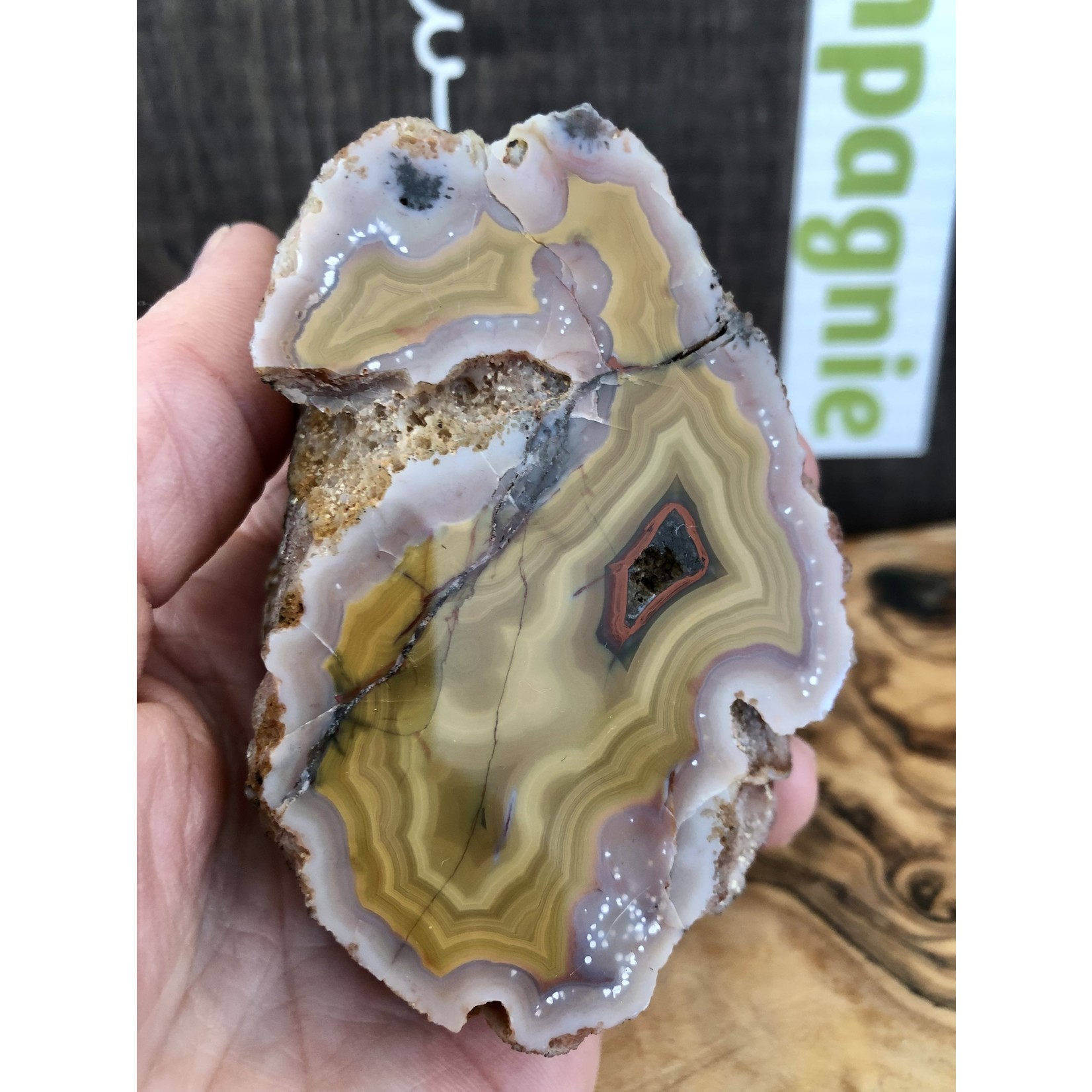 Agate Crazy Lace Mexicaine – Pierre Naturelle Unique d'Arcoiris pour Équilibre et Harmonie