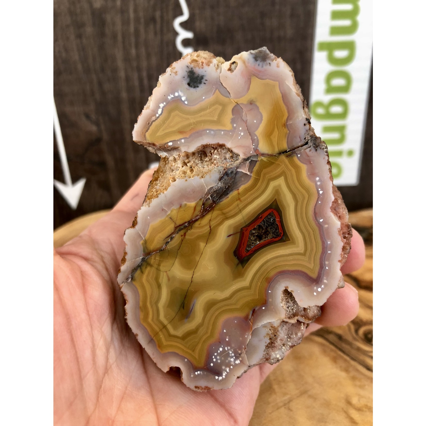 Mexican Agate Crazy Lace – Unique Arcoiris Natural Stone for Balance and Harmony