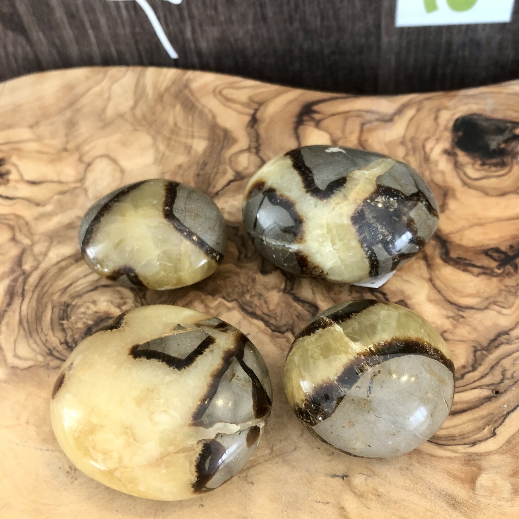 choice of septarian tumbled stone, repairs faults and energy blockages, recommended for people who have suffered an emotional shock