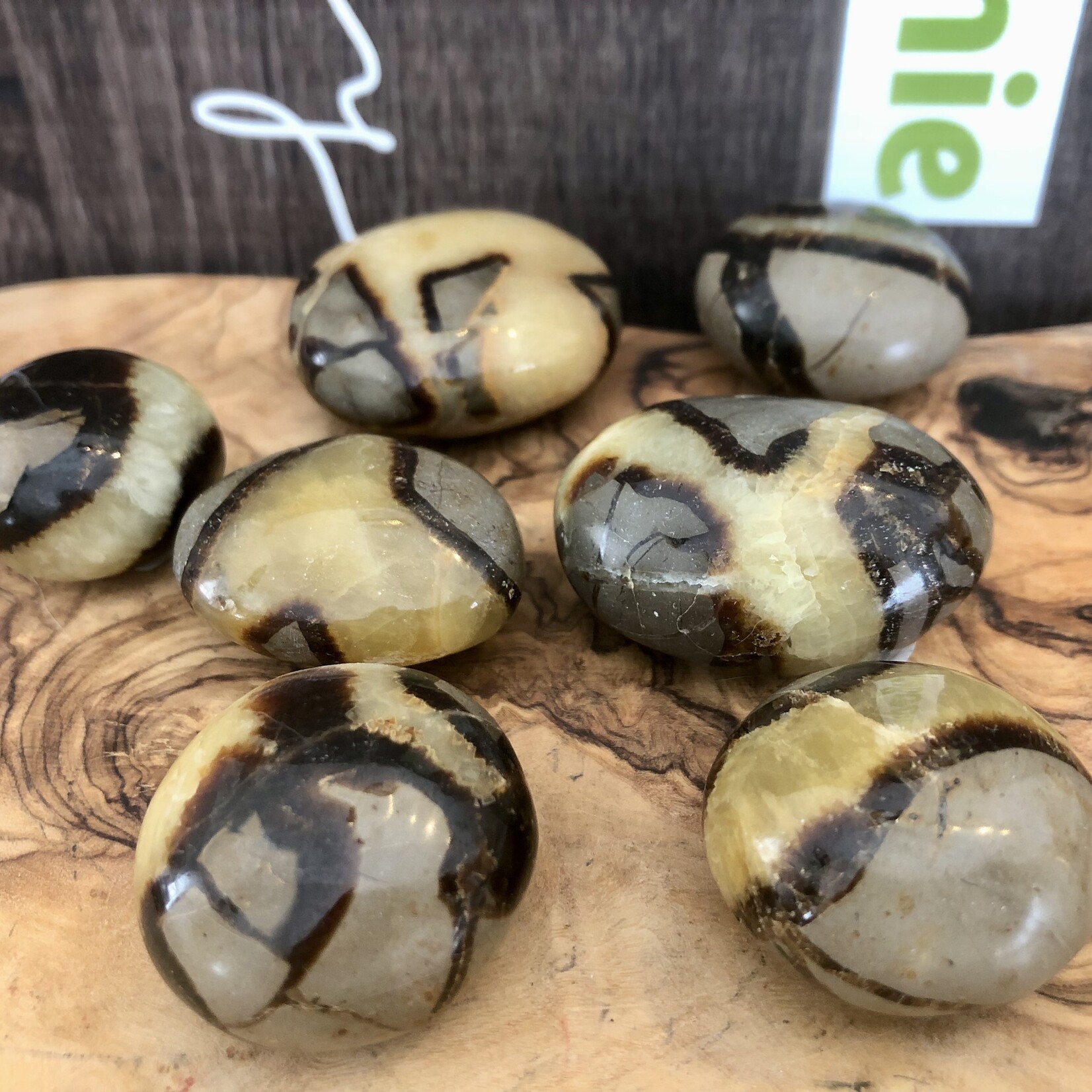 choice of septarian tumbled stone, repairs faults and energy blockages, recommended for people who have suffered an emotional shock