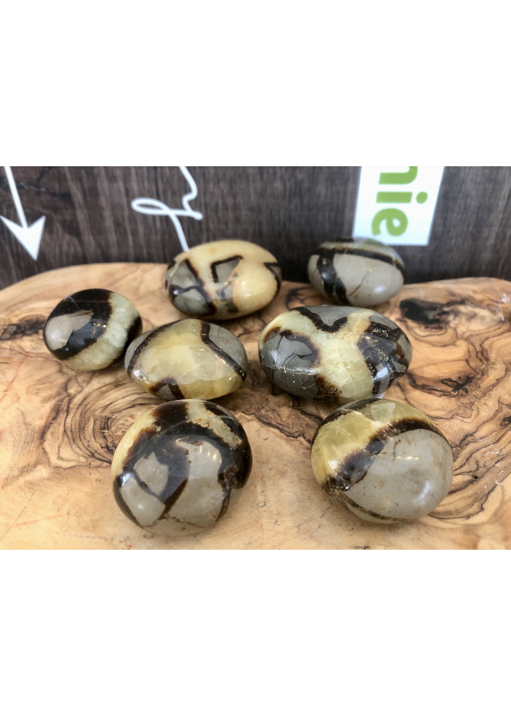 choice of septarian tumbled stone, repairs faults and energy blockages, recommended for people who have suffered an emotional shock