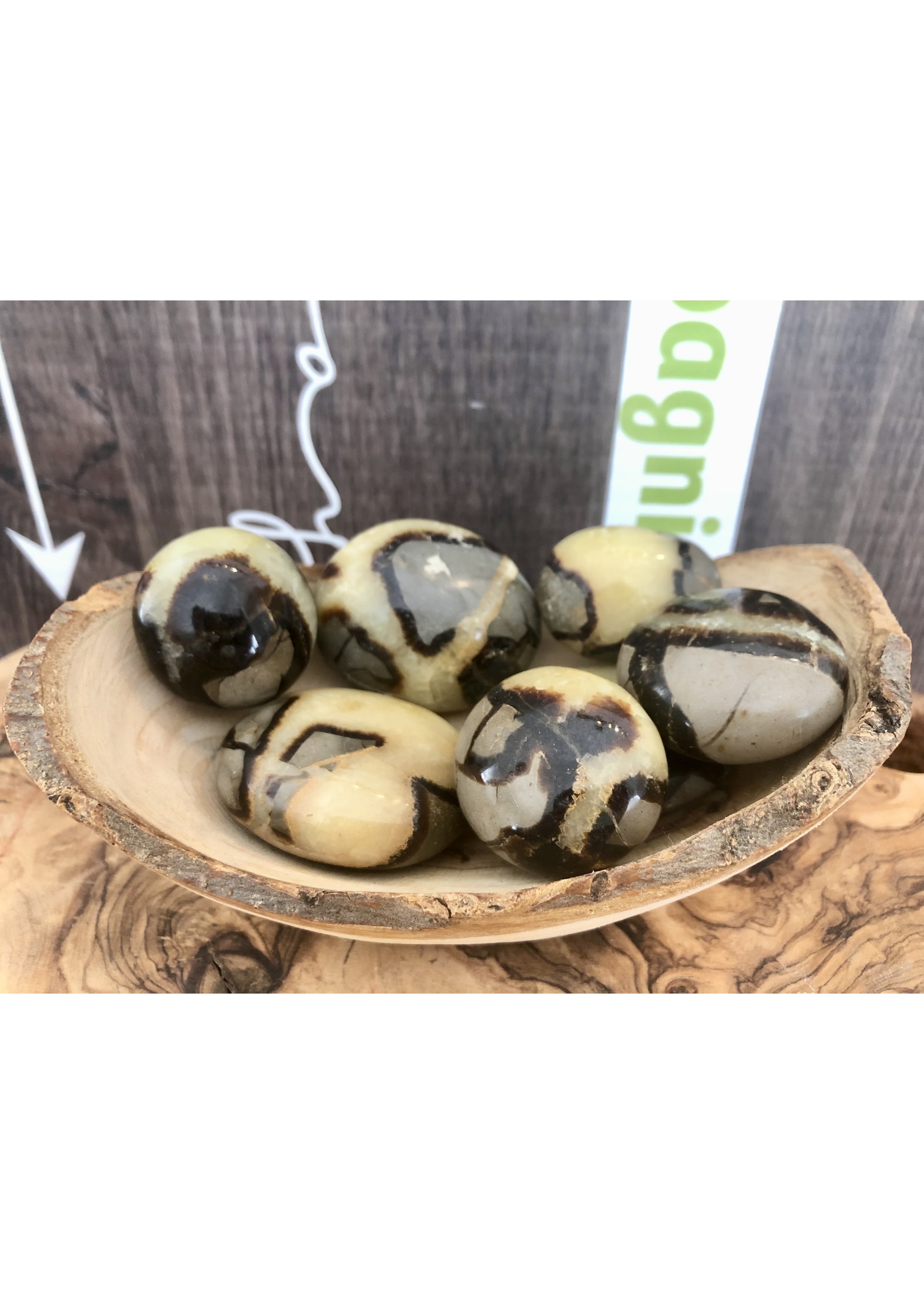choice of septarian tumbled stone, repairs faults and energy blockages, recommended for people who have suffered an emotional shock