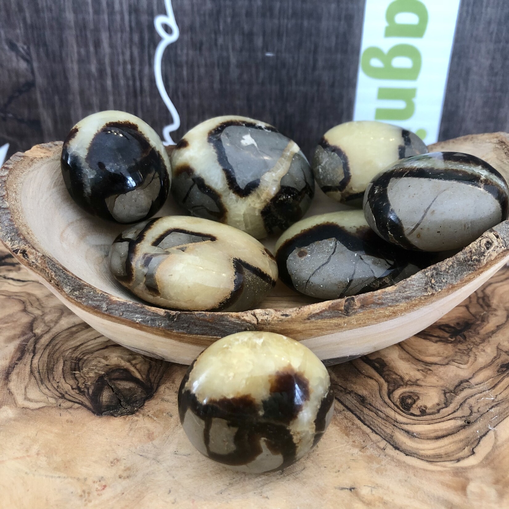 choice of septarian tumbled stone, repairs faults and energy blockages, recommended for people who have suffered an emotional shock