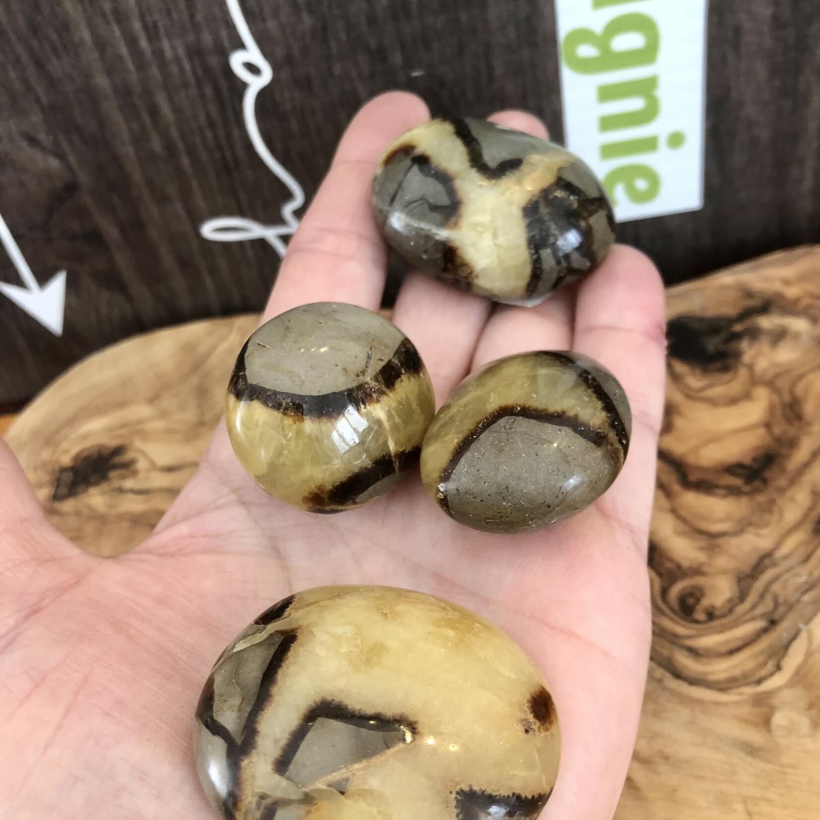choice of septarian tumbled stone, repairs faults and energy blockages, recommended for people who have suffered an emotional shock