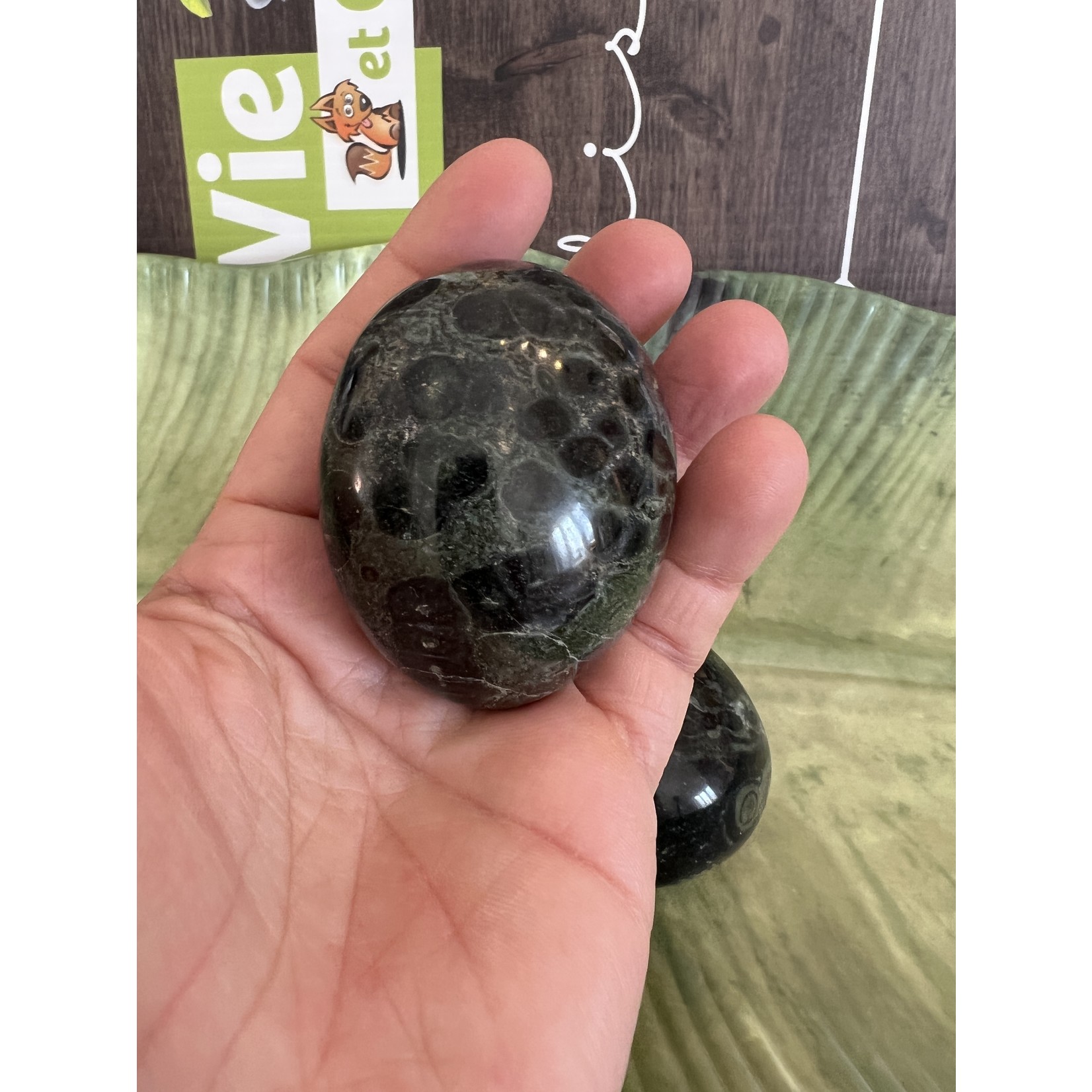 puffy pebble kambaba jasper, helps to enjoy the present moment without dwelling on the past or being anxious about the future
