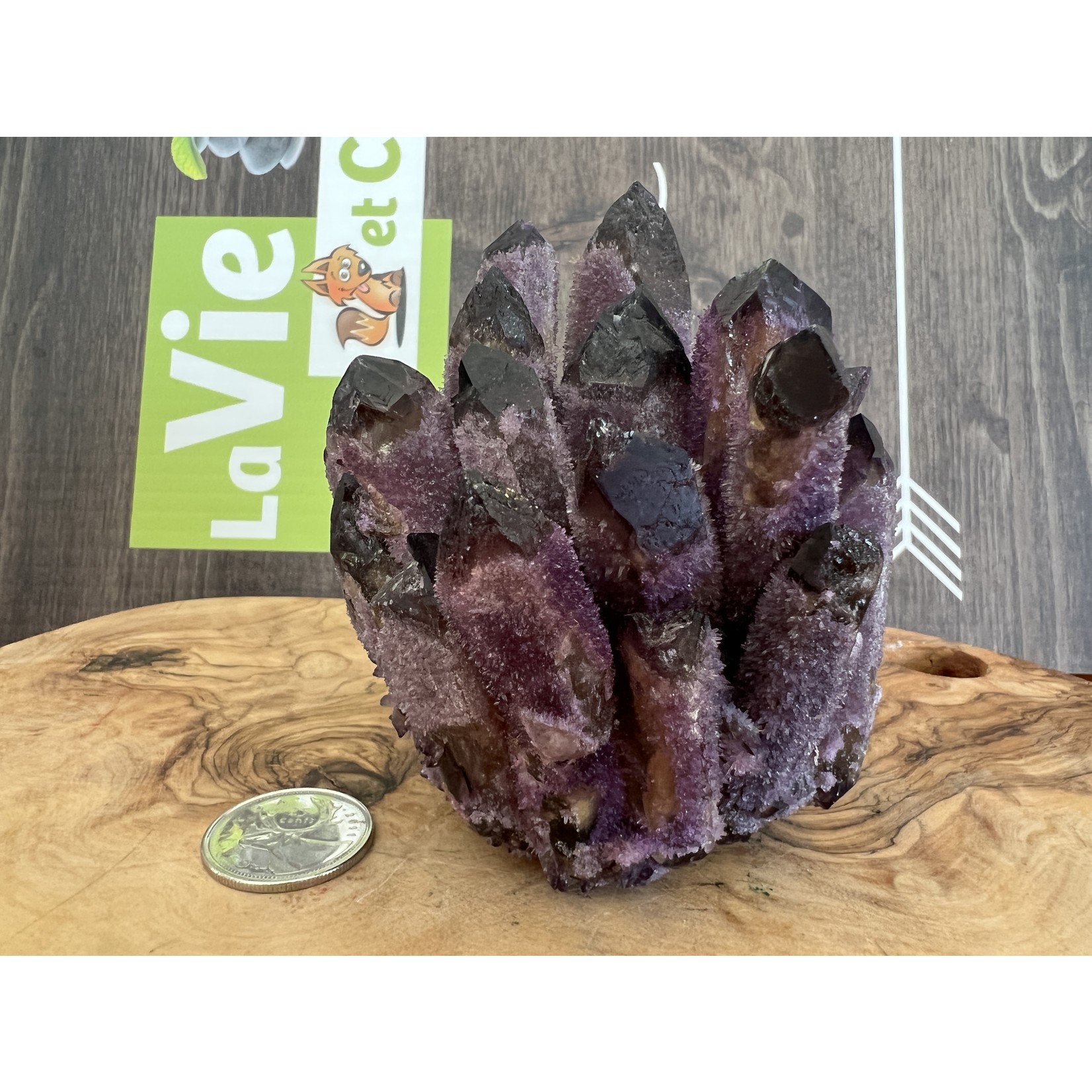 purple phantom quartz cluster, purple quartz, works to cleanse our auric field and environment of negative energies