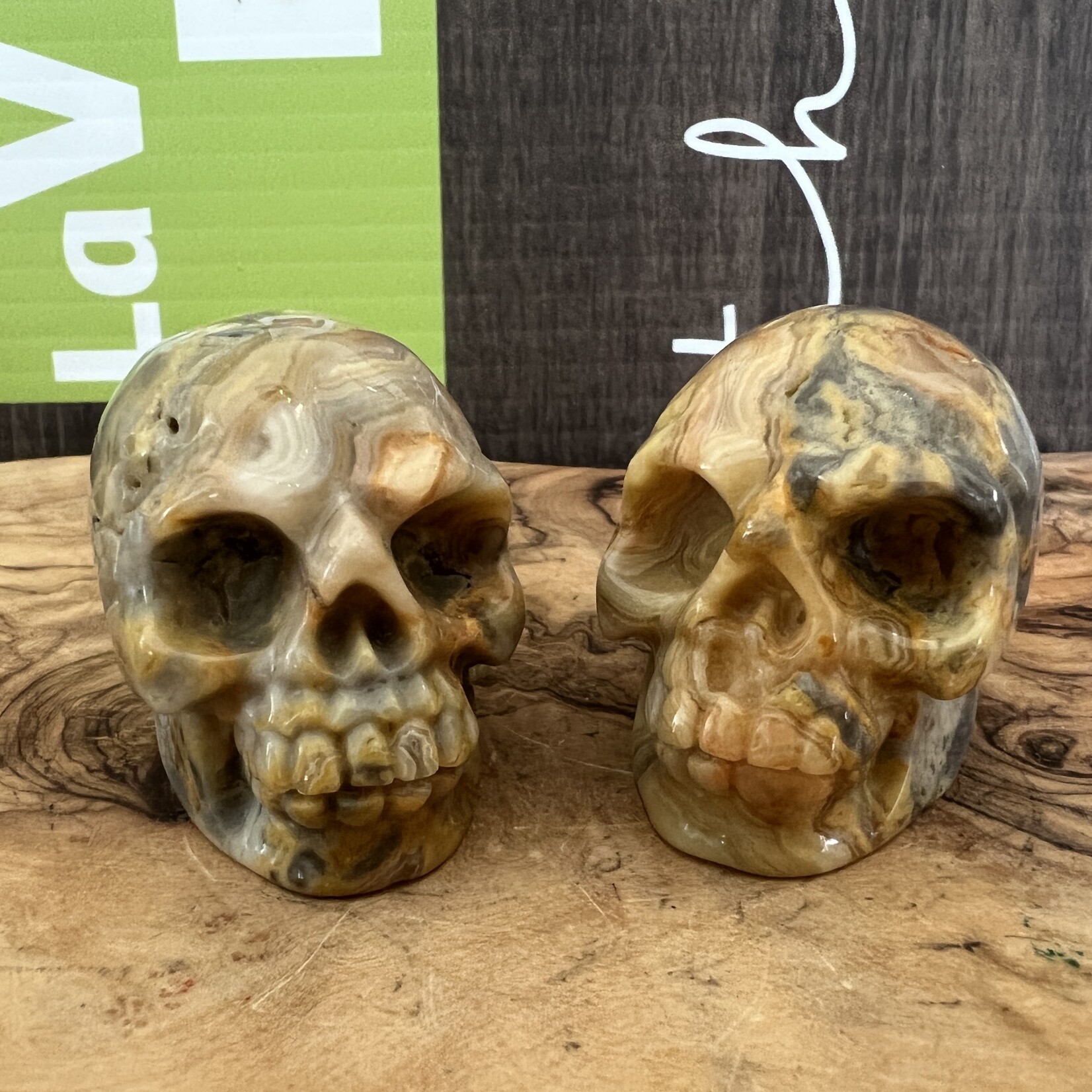 crazy lace agate skull, commonly referred to as the "stone of laughter" or "happy lace"