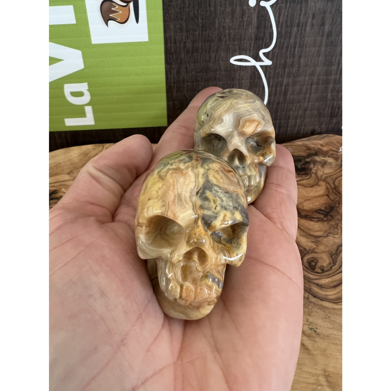 crazy lace agate skull, commonly referred to as the "stone of laughter" or "happy lace"