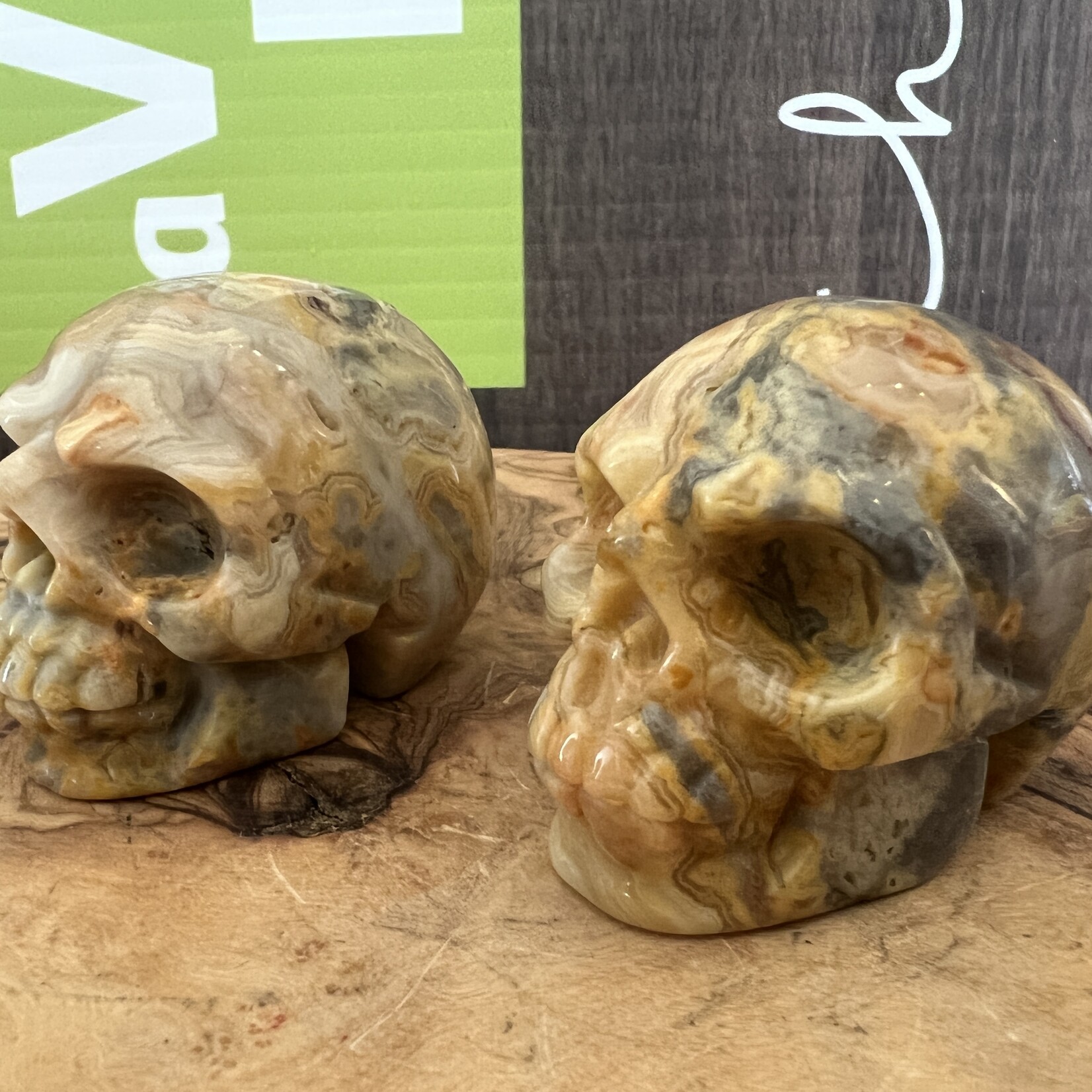 crazy lace agate skull, commonly referred to as the "stone of laughter" or "happy lace"