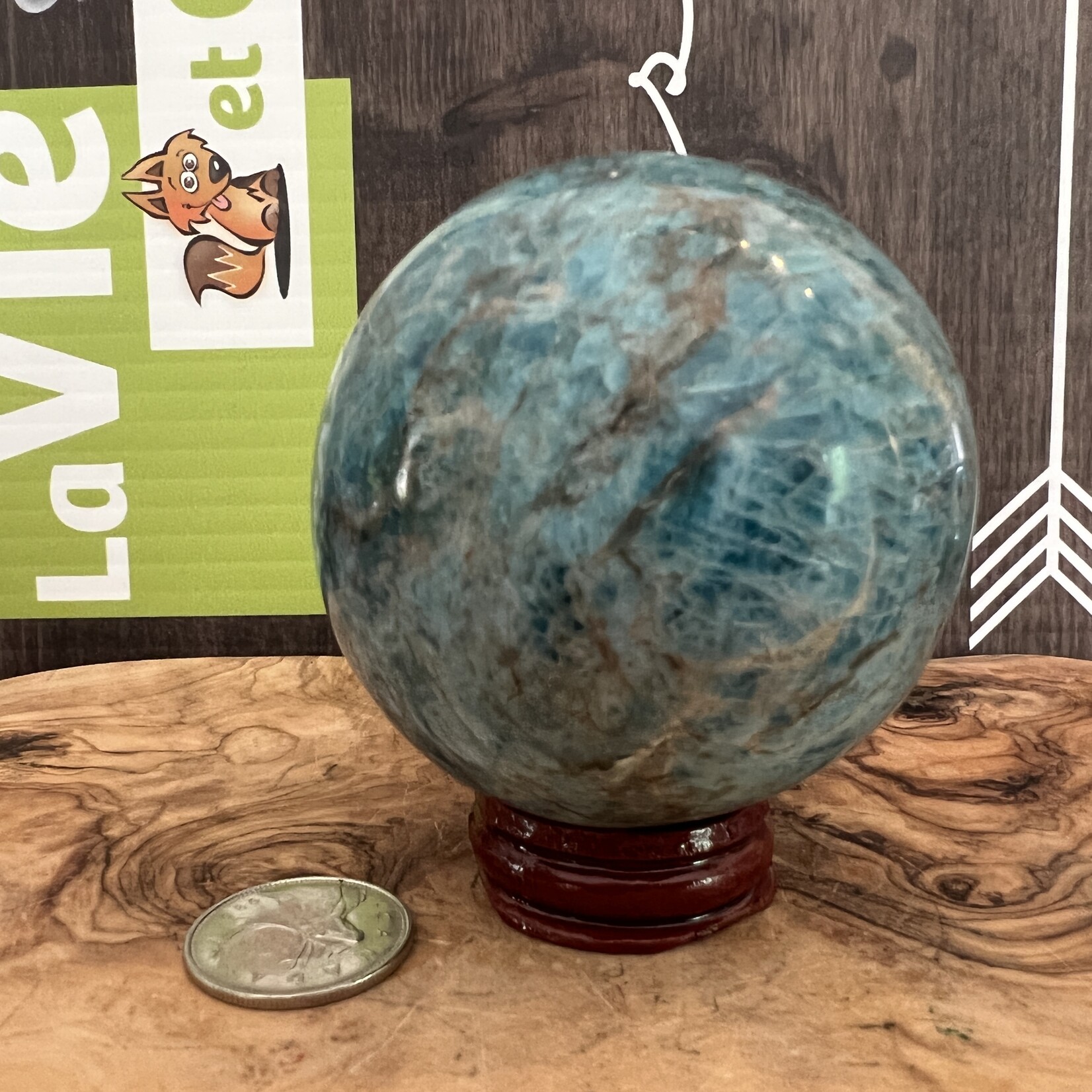 Grande et Magnifique Sphère d'Apatite – Clarté Profonde & Énergie de Manifestation