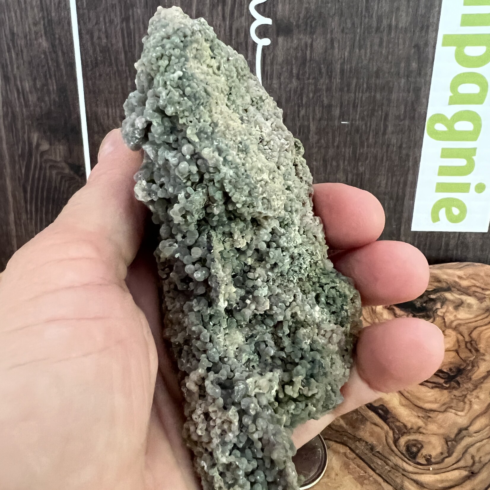 Elongated Grape Agate – The Stone of Clarity and Communication