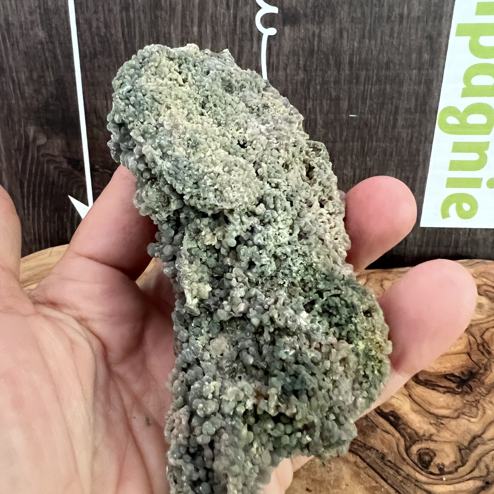Elongated Grape Agate – The Stone of Clarity and Communication