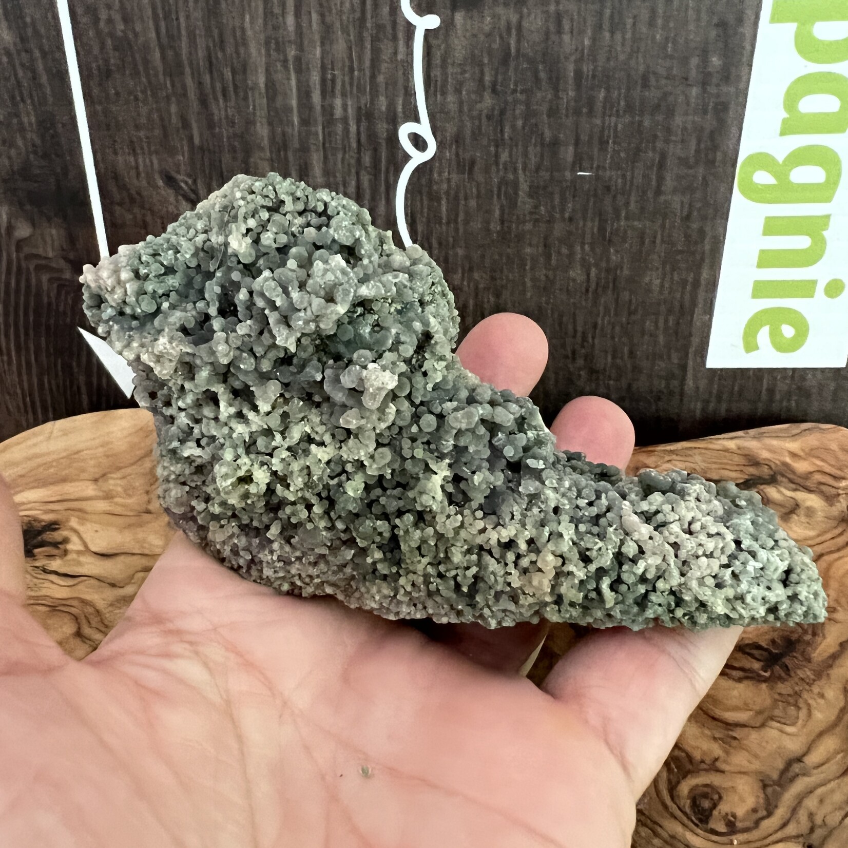 Elongated Grape Agate – The Stone of Clarity and Communication