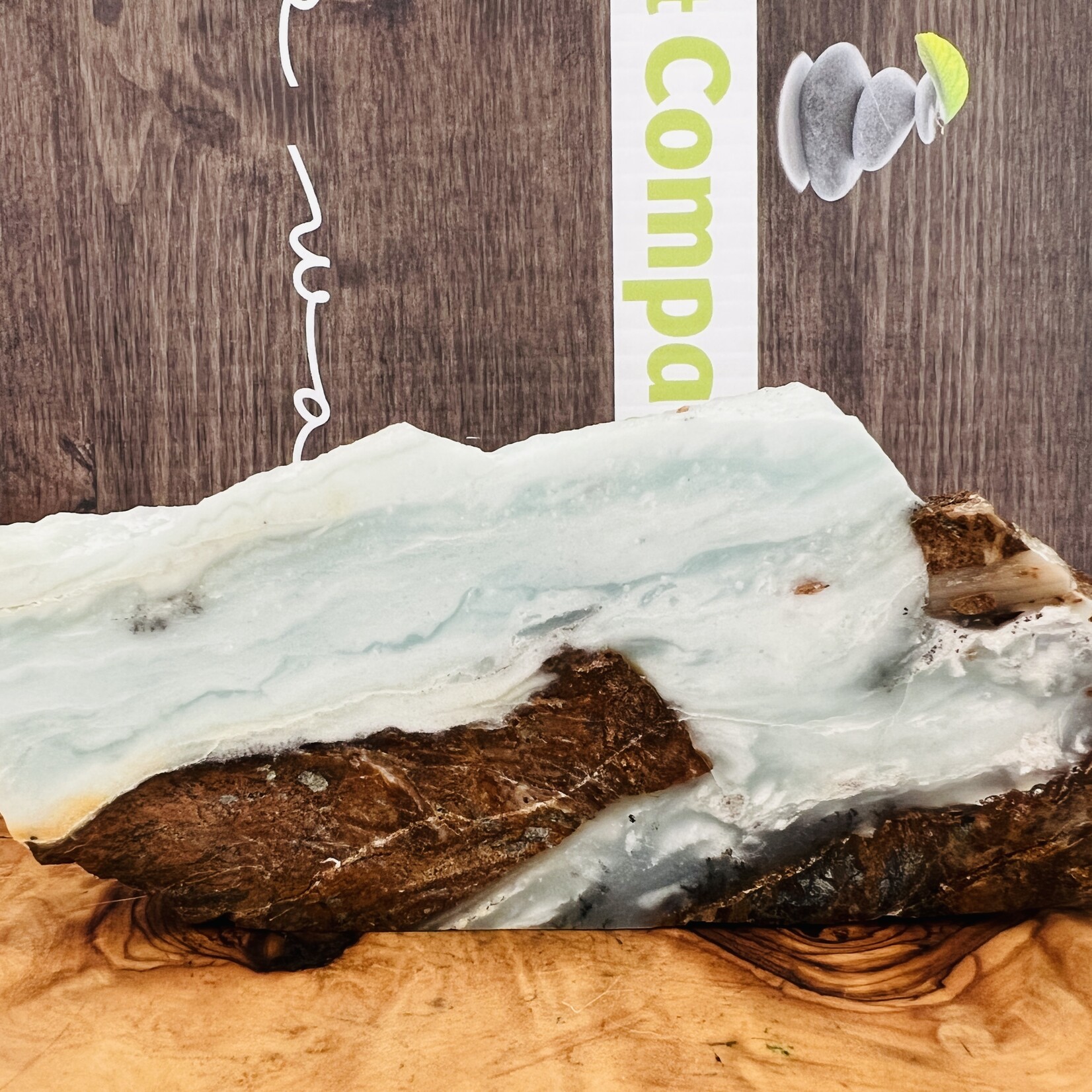 BC Ocean Picture Stone - Captivating Polished Gemstone from Canada