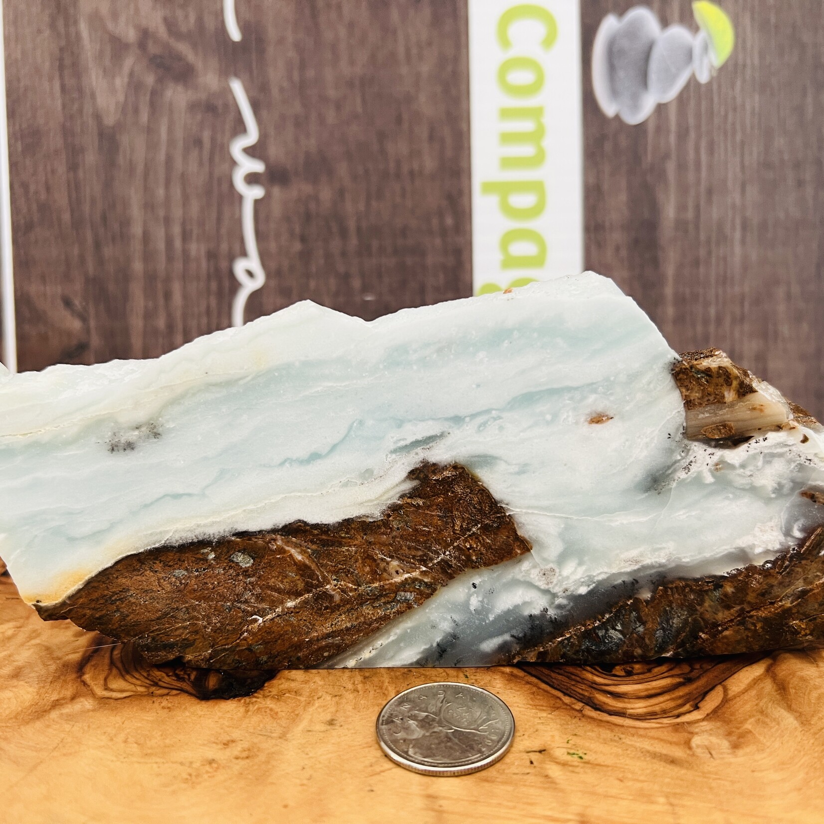 BC Ocean Picture Stone - Captivating Polished Gemstone from Canada