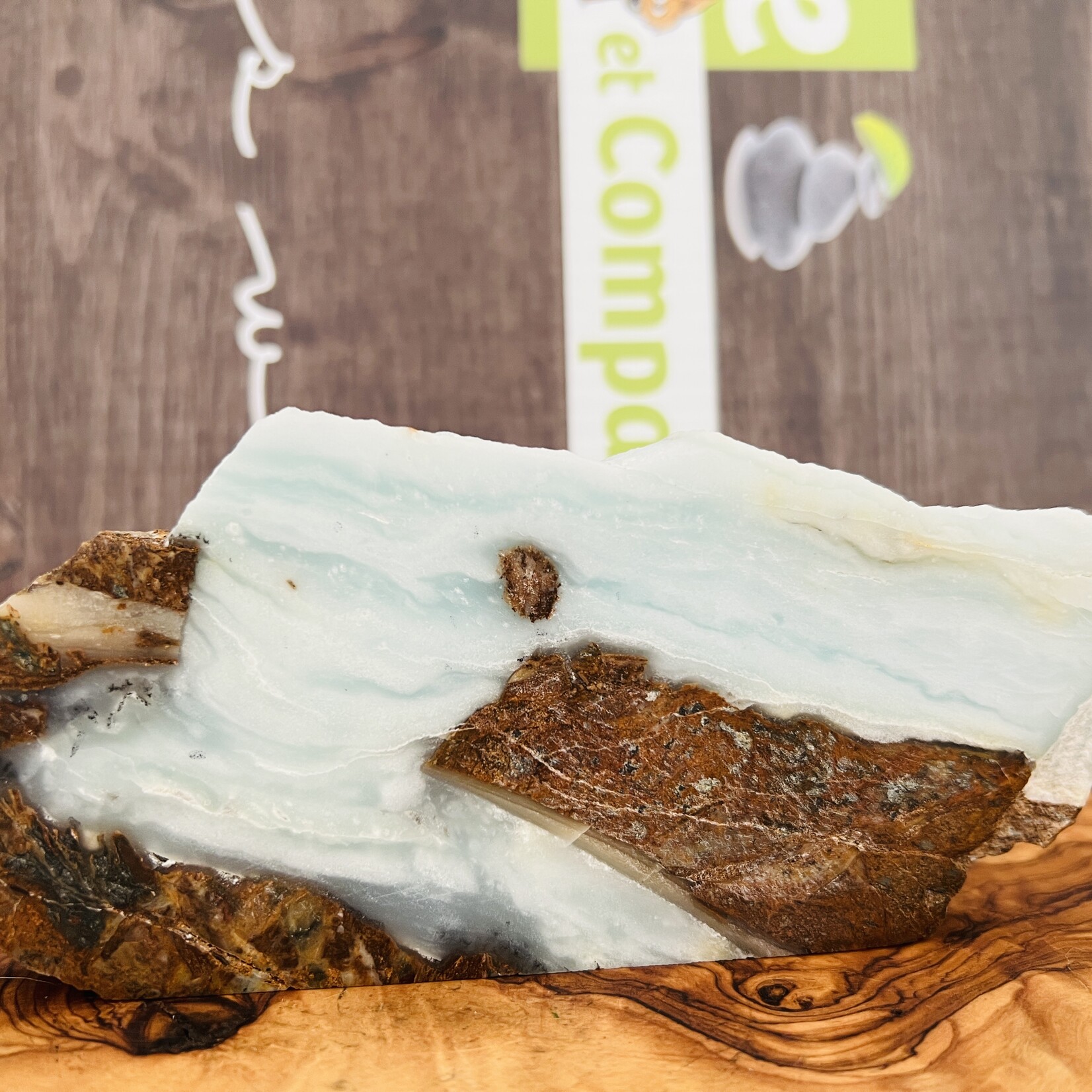 BC Ocean Picture Stone - Captivating Polished Gemstone from Canada