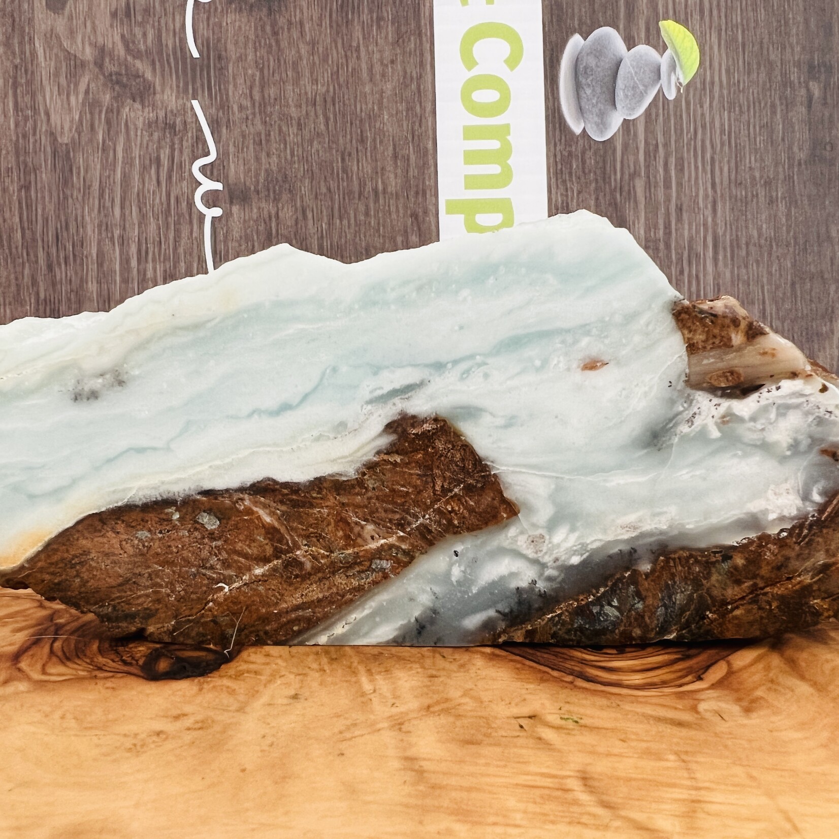 BC Ocean Picture Stone - Captivating Polished Gemstone from Canada