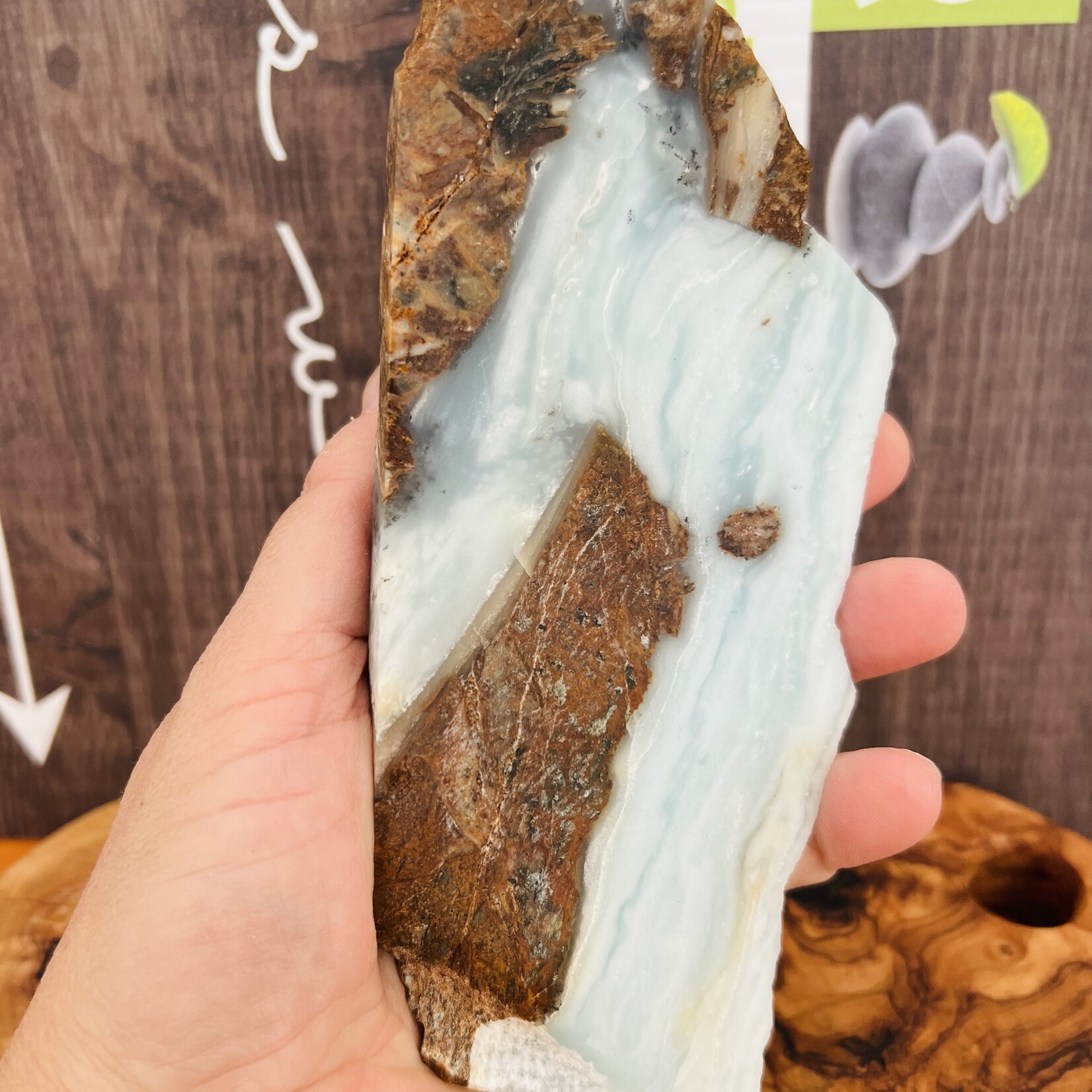 BC Ocean Picture Stone - Captivating Polished Gemstone from Canada