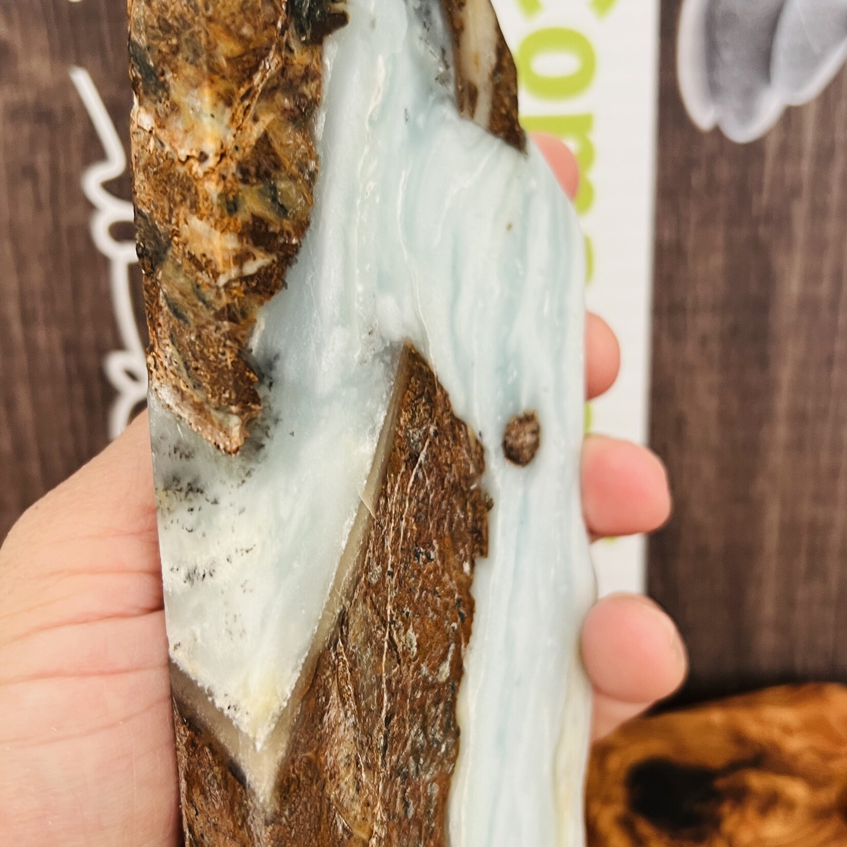 BC Ocean Picture Stone - Captivating Polished Gemstone from Canada