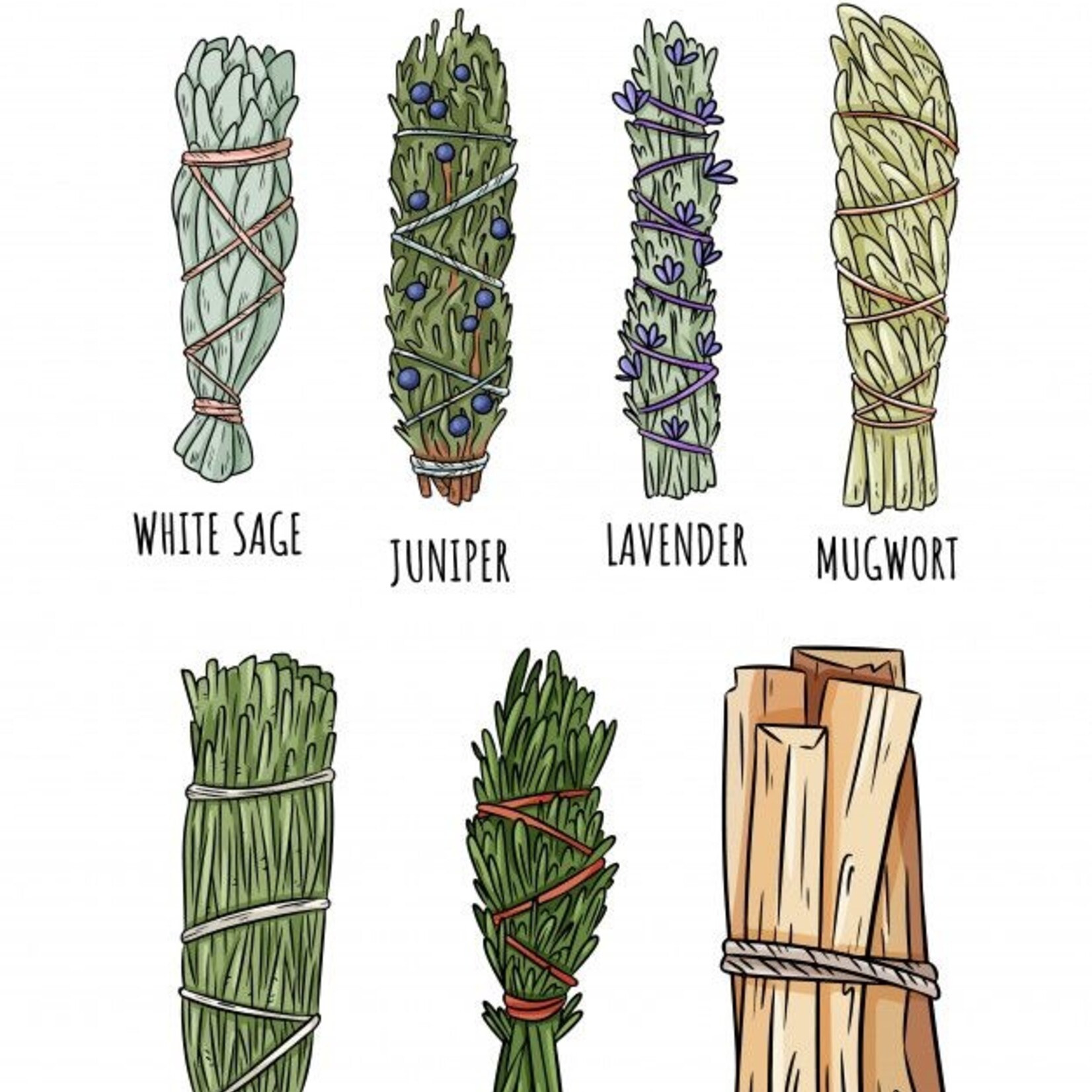 Bâton de sauge et de sapin - Mélange revitalisant pour le nettoyage et la santé, bienfaits curatifs du sapin ci-joints